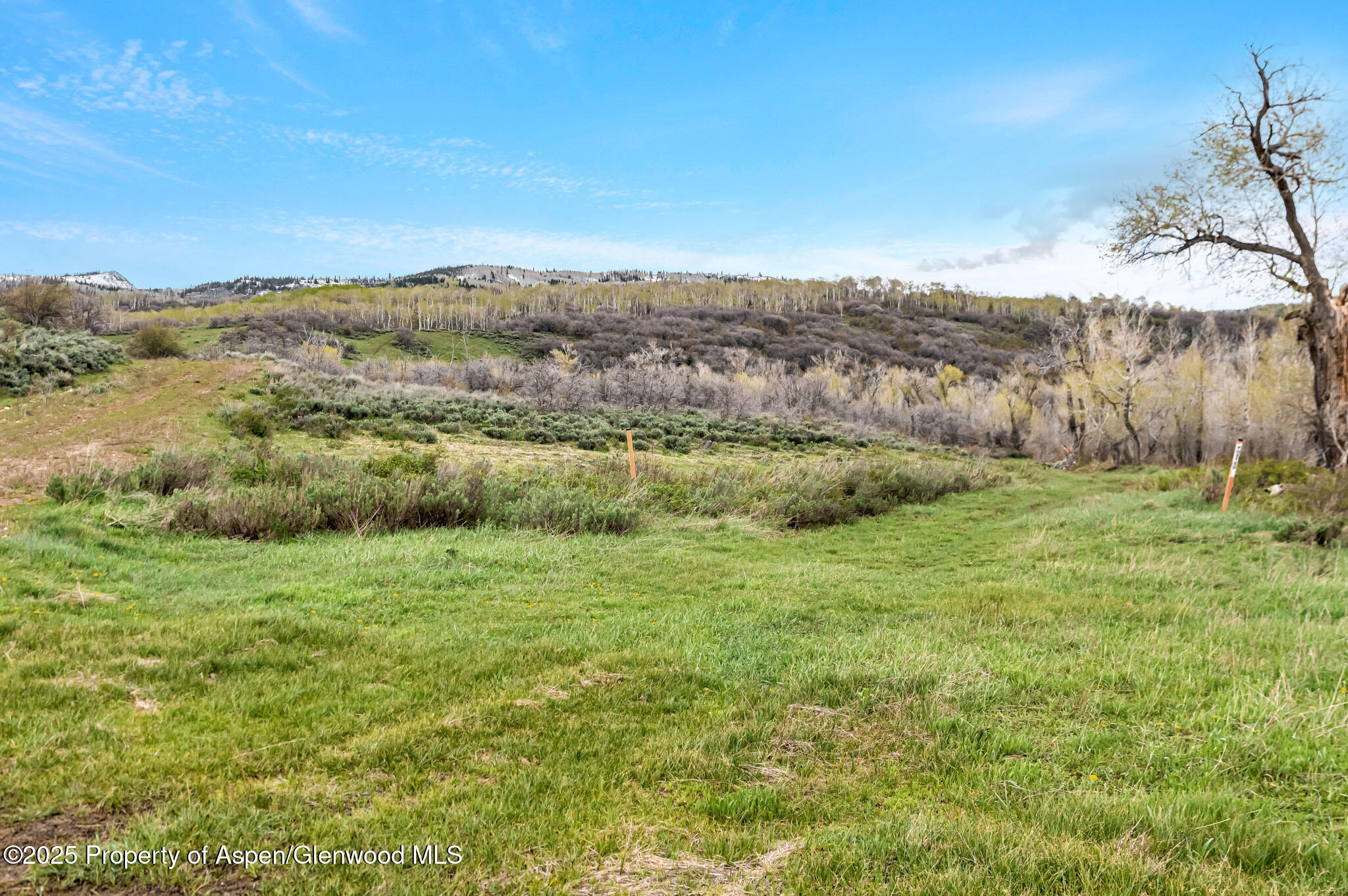 Tbd County Road 80 Hayden CO 81639