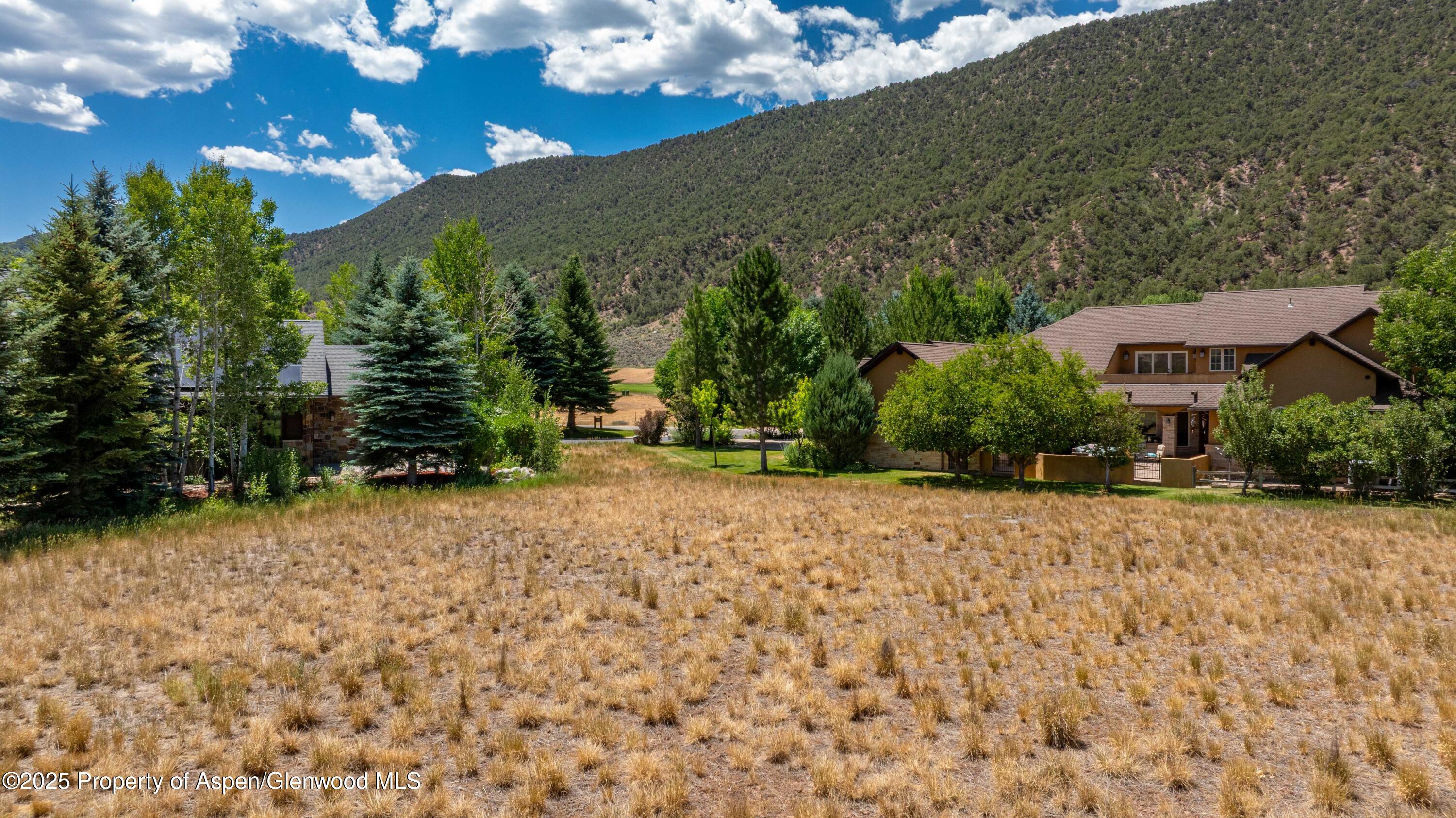 28 Spring Loop Carbondale CO 81623