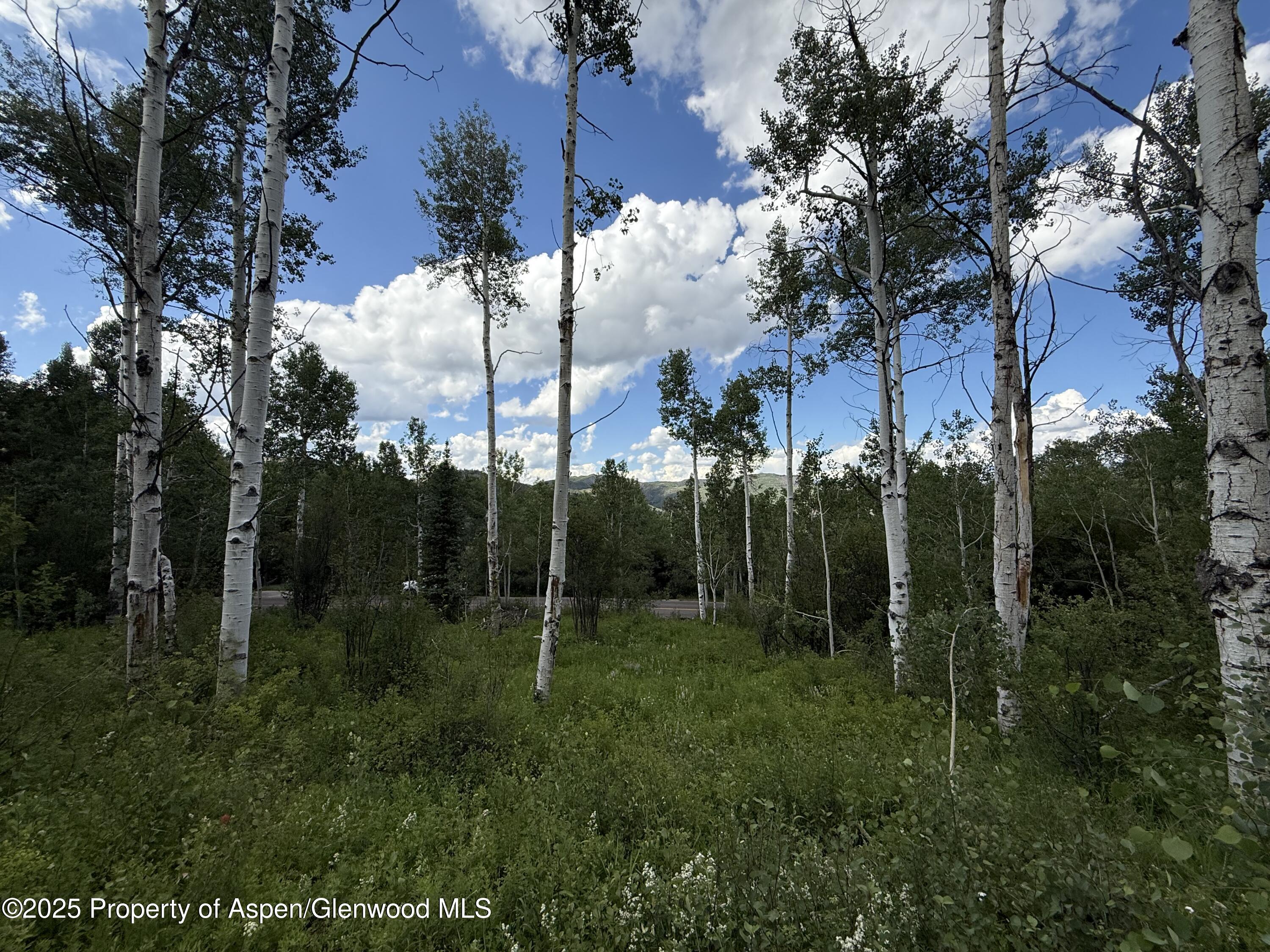 521 Faraway Road Snowmass Village CO 81615