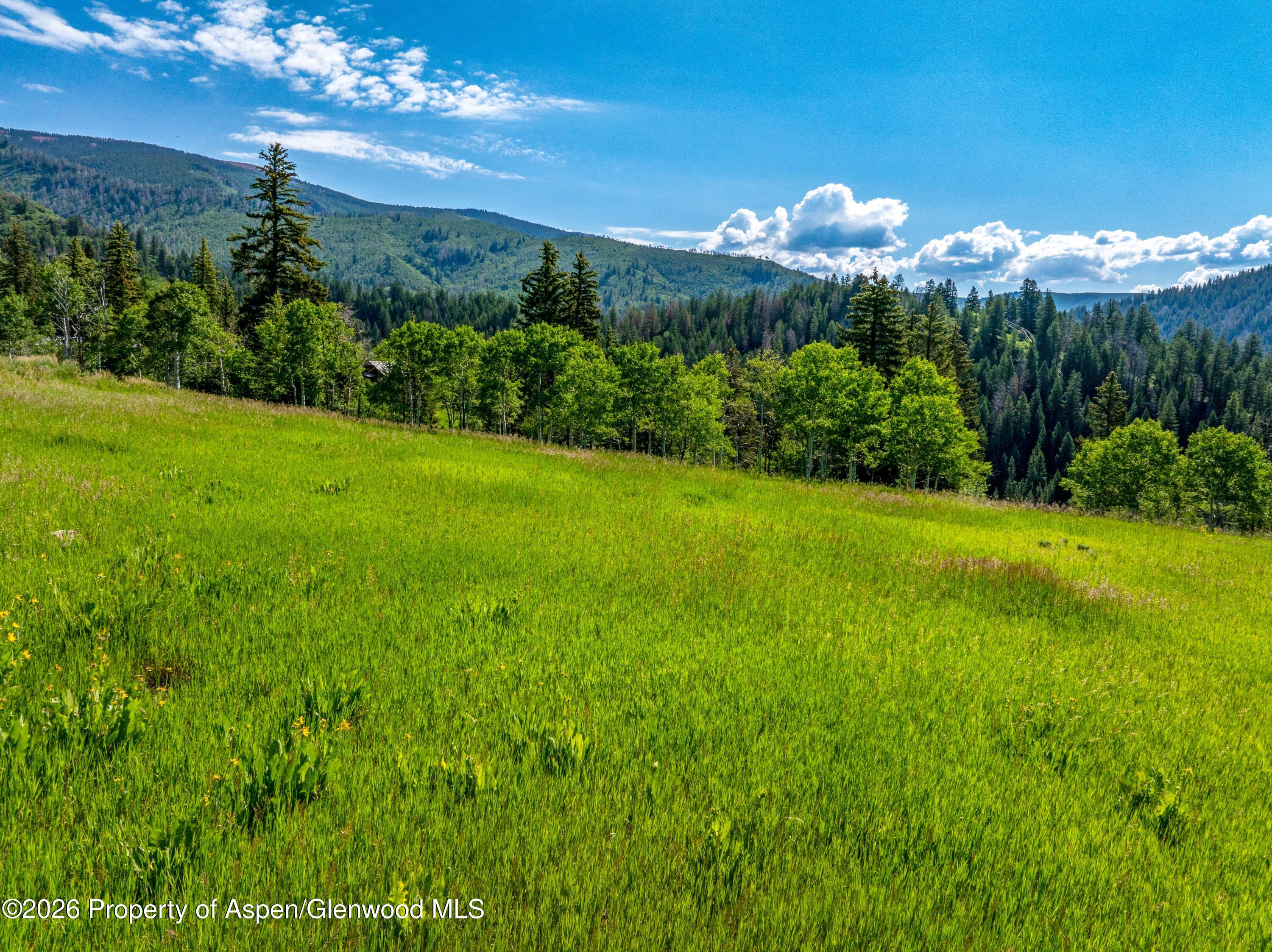 Basalt CO, 1207 Mclaughlin Lane