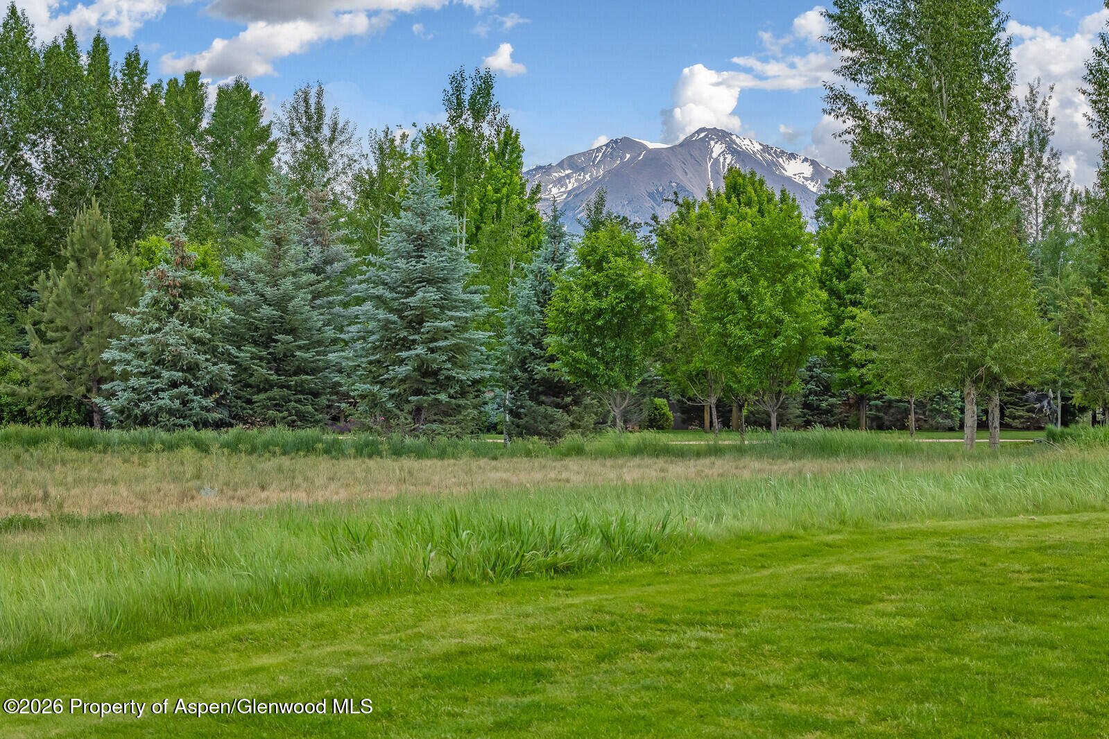 67 Alpen Glo Carbondale CO 81623