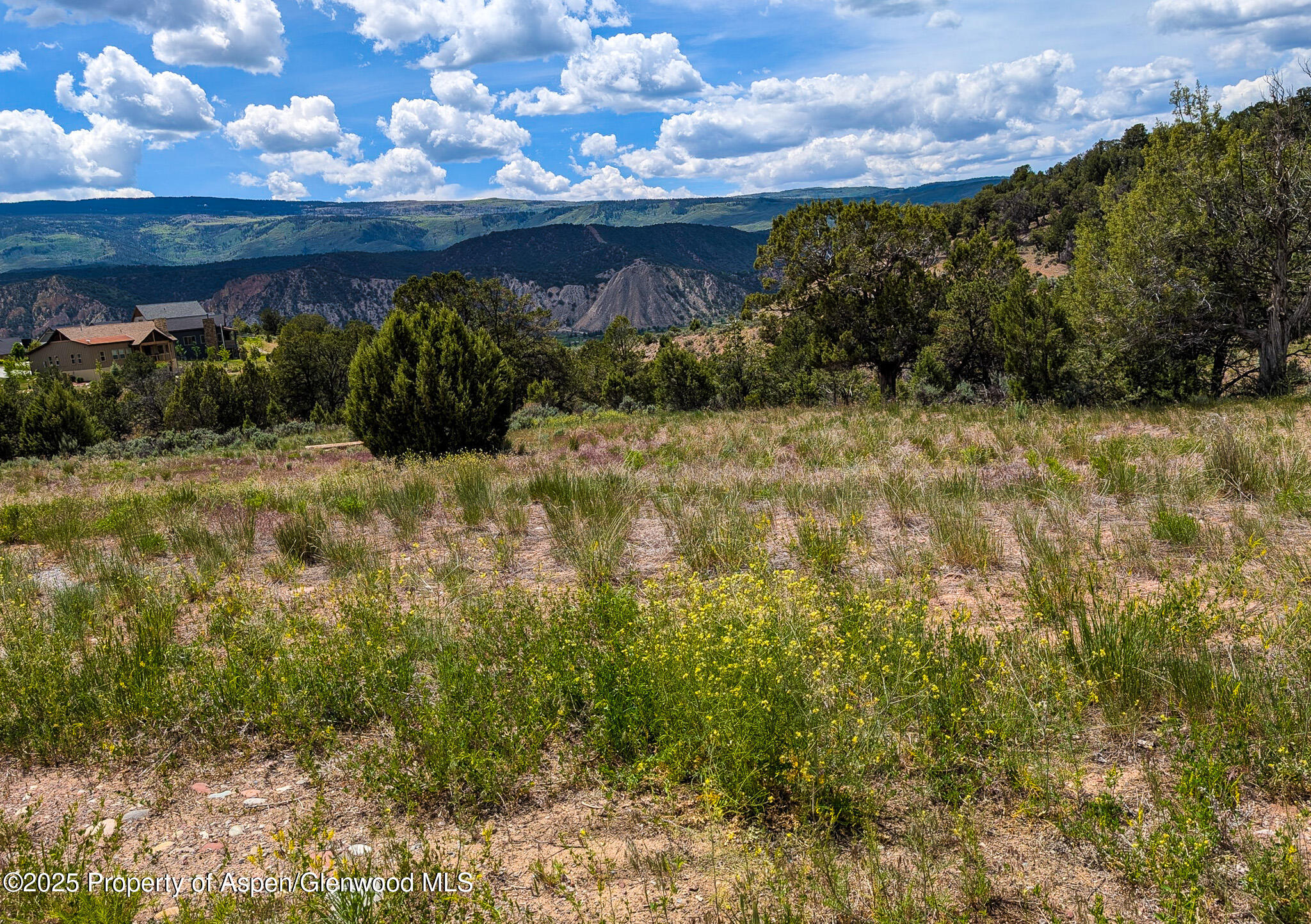 117 Paintbrush Way Glenwood Springs CO 81601