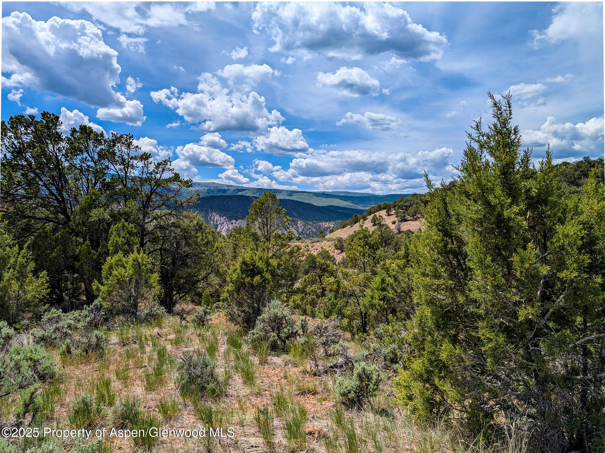 117 Paintbrush Way Glenwood Springs CO 81601