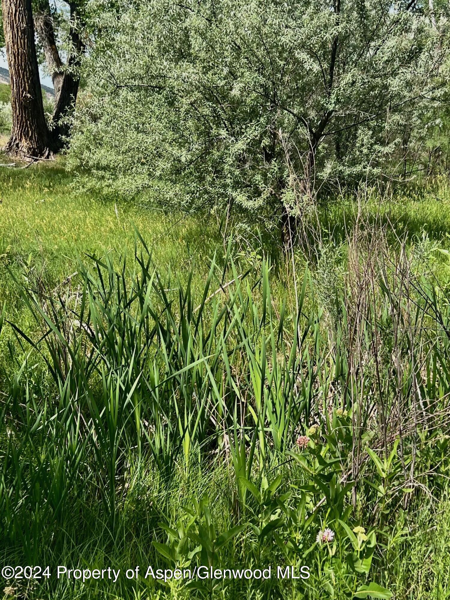 1797 N County Road 346 Rifle CO 81650