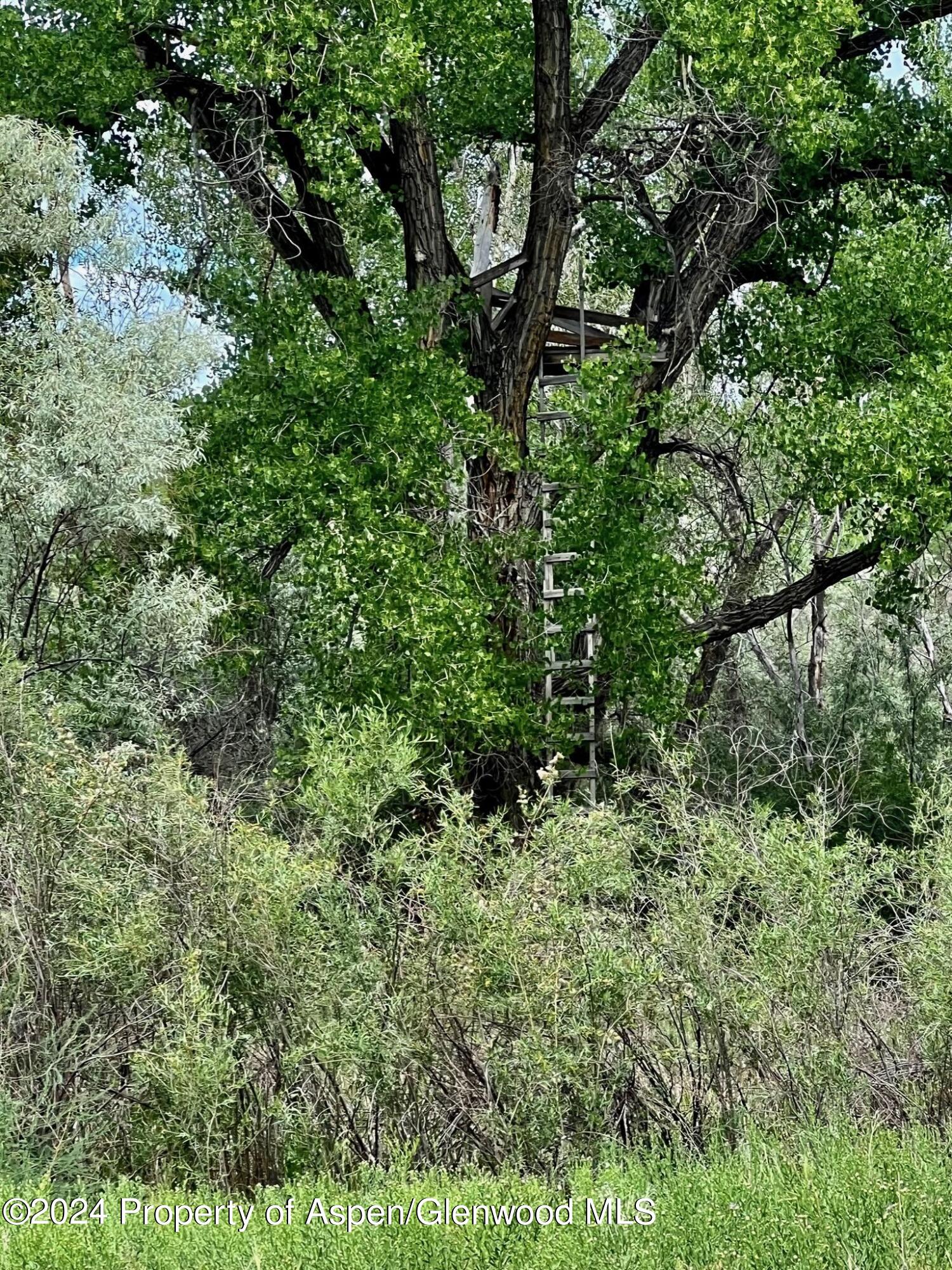 1797 N County Road 346 Rifle CO 81650