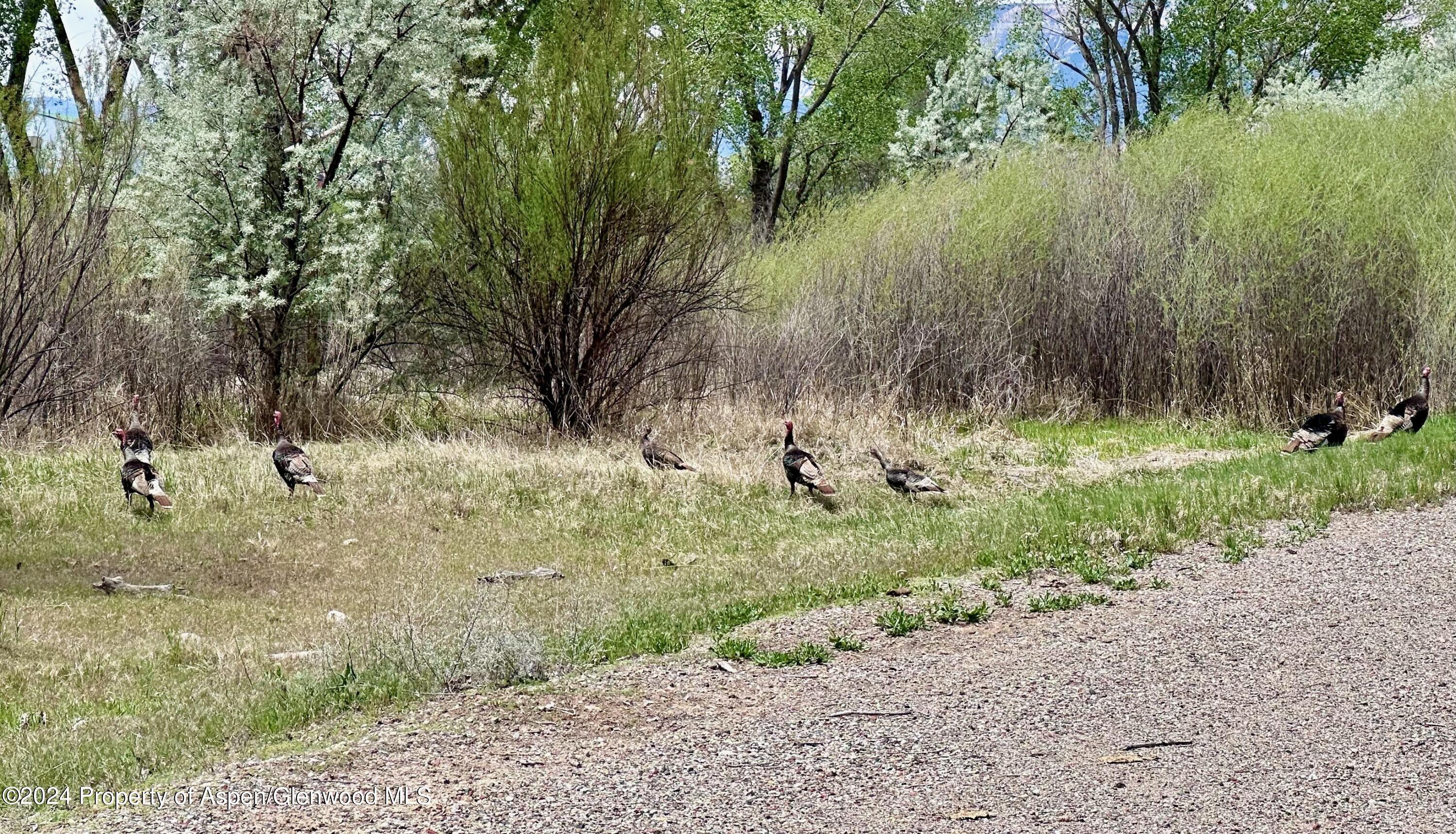 1797 N County Road 346 Rifle CO 81650