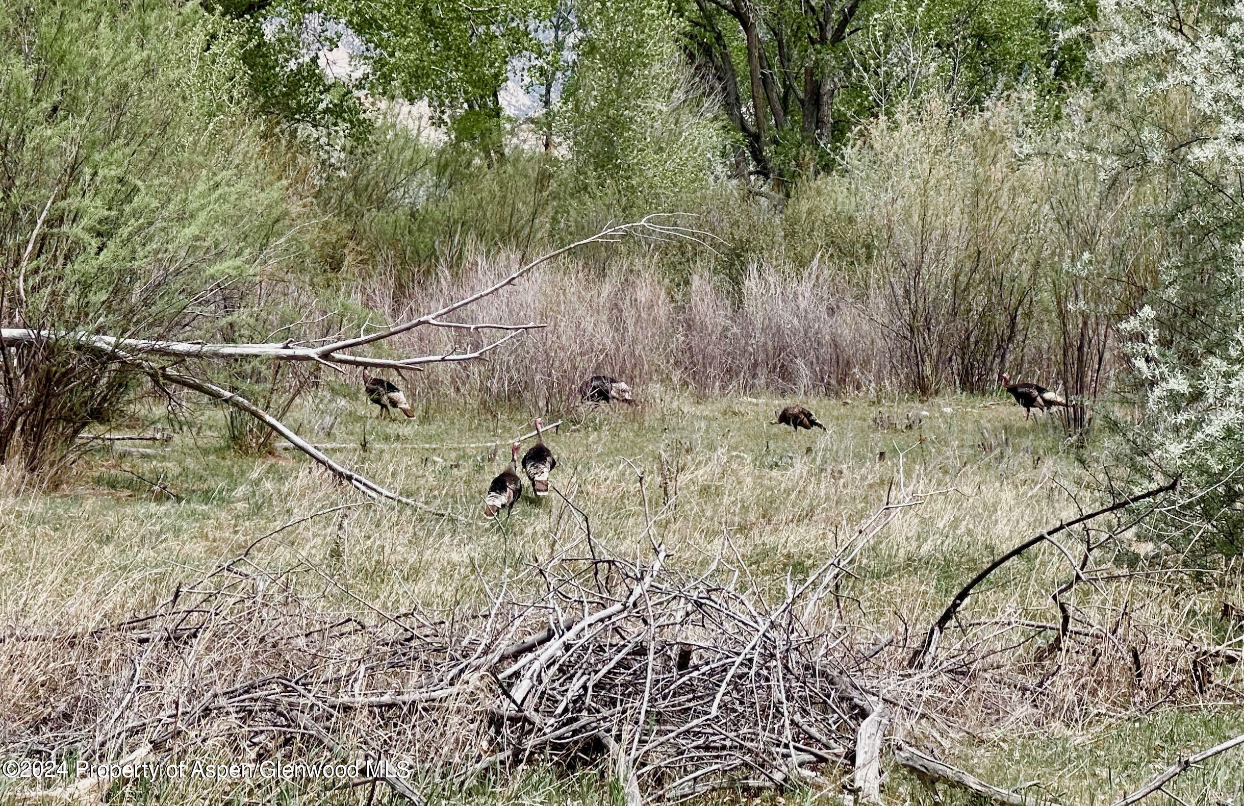 1797 N County Road 346 Rifle CO 81650