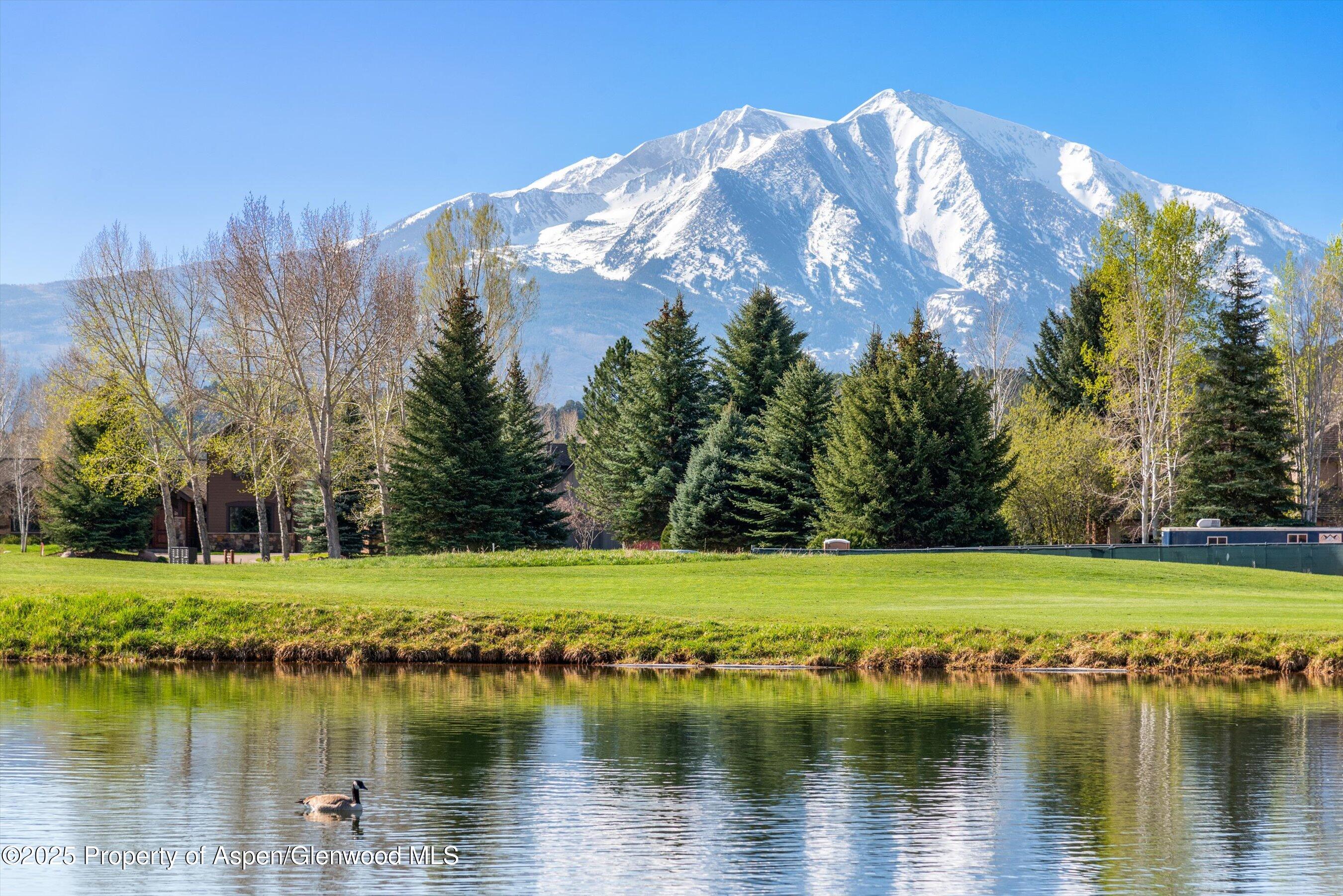 156 Osprey Circle Carbondale CO 81623