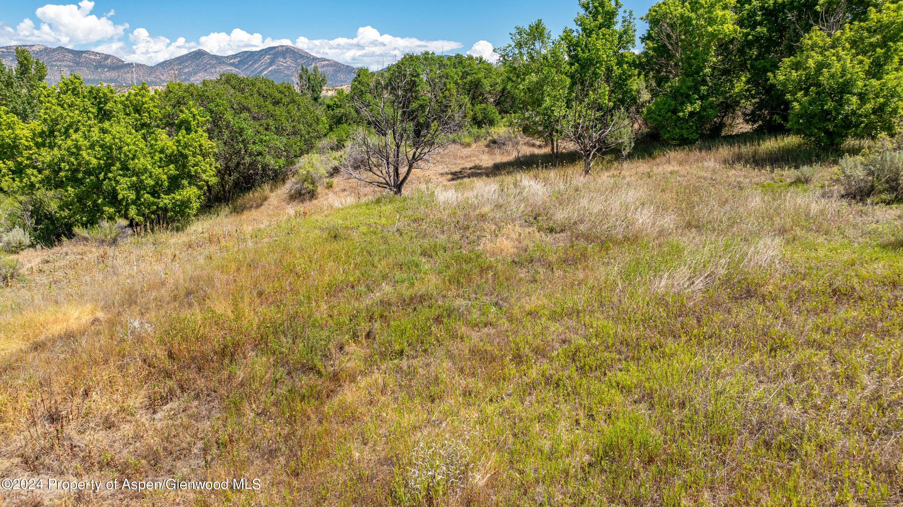 Phase 1b Tbd Creekside Drive Rifle CO 81650