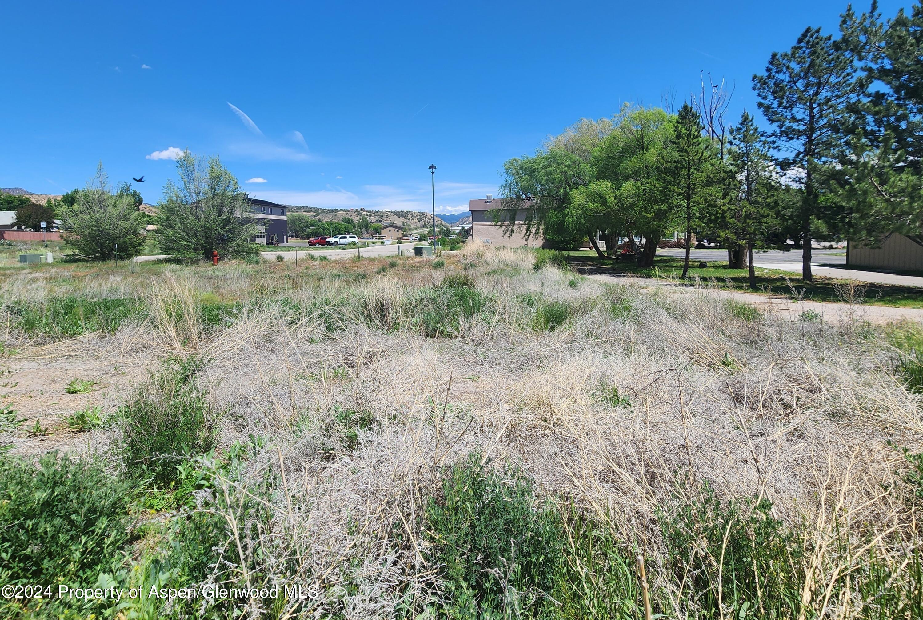 1805 Silver Spur Silt CO 81652