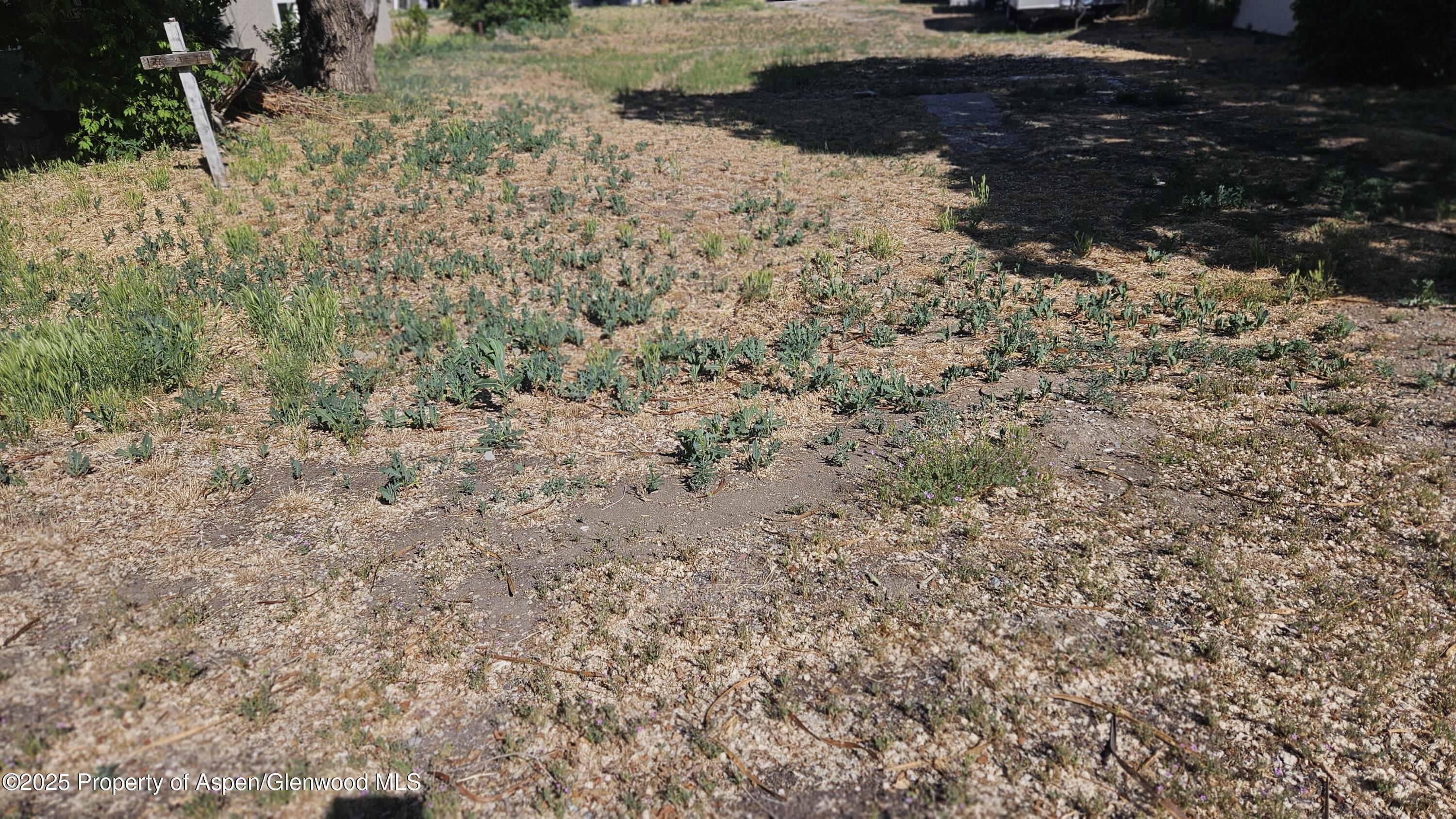 136 E 1st Street Parachute CO 81635