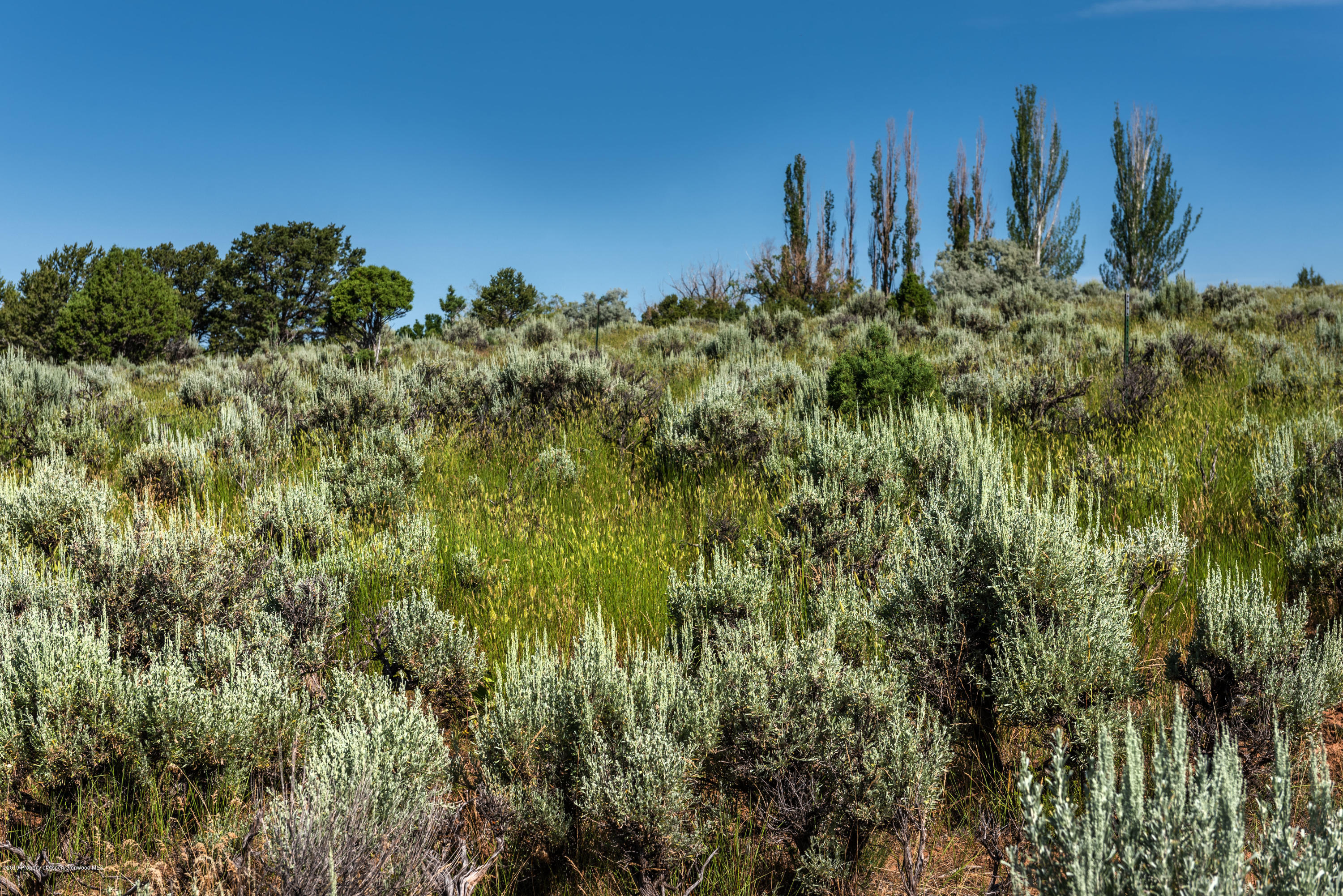 Tbd County Road 102 Carbondale CO 81623