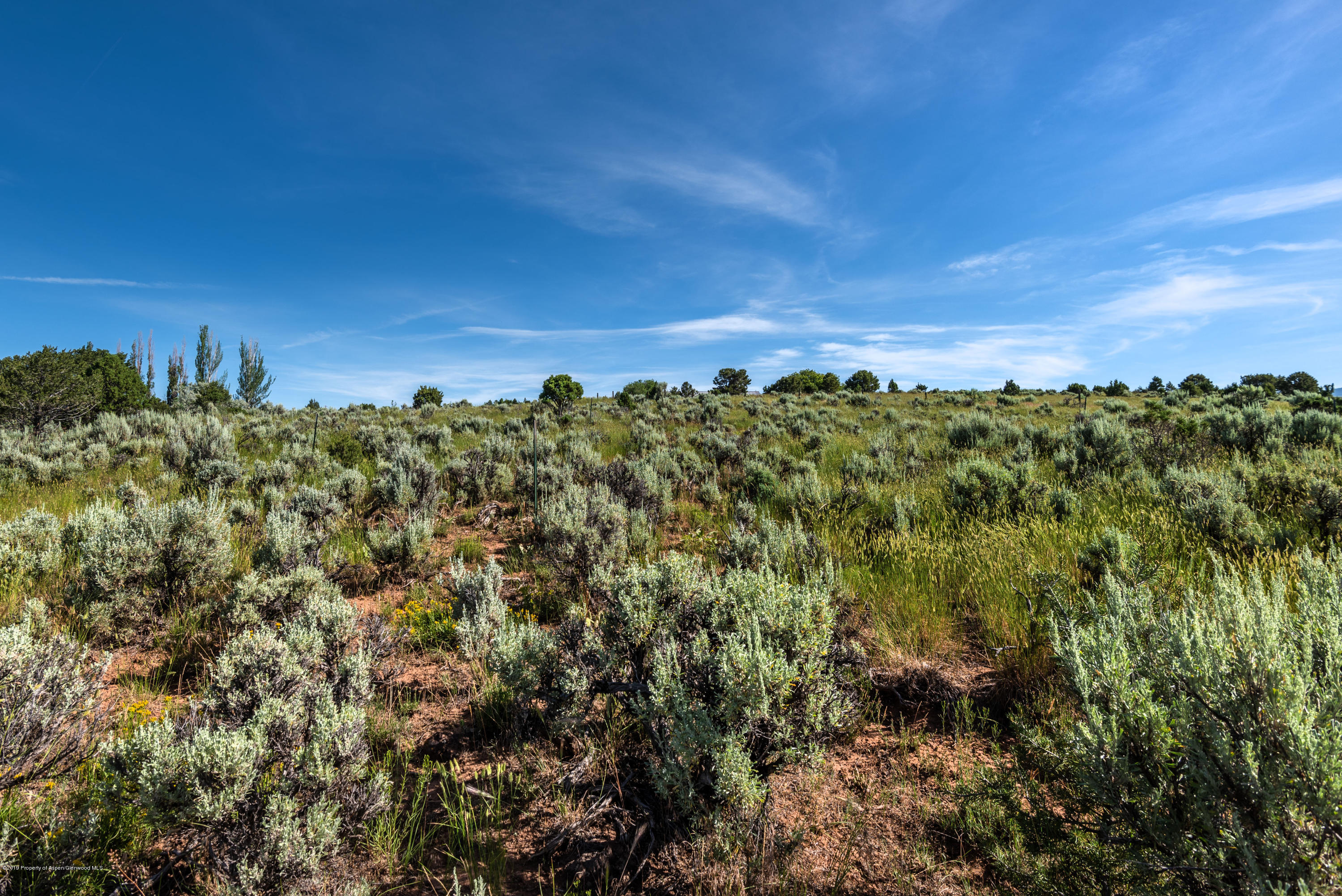 Tbd County Road 102 Carbondale CO 81623