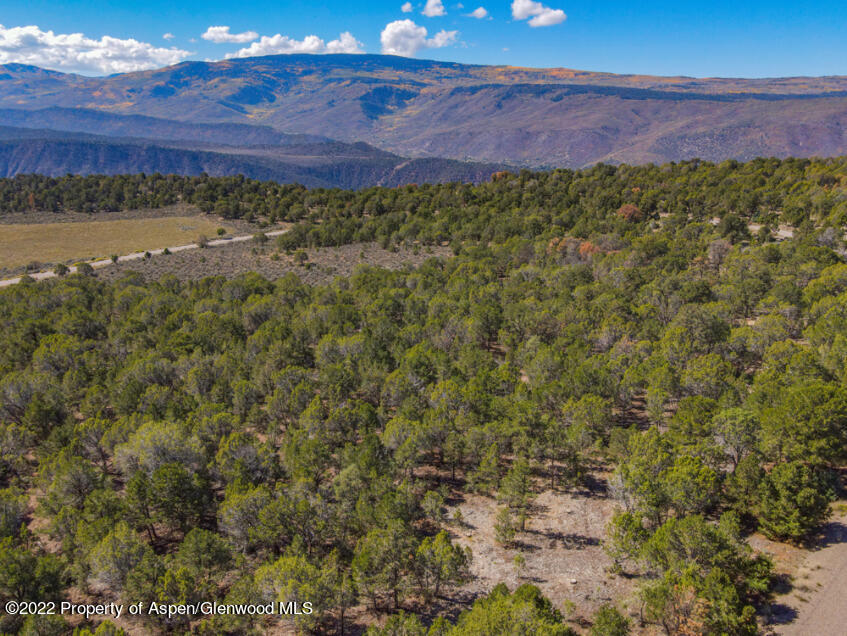 3275 Elk Springs Drive Glenwood Springs CO 81601