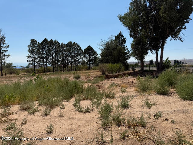 21045 Nowhere Road Eckert CO 81418