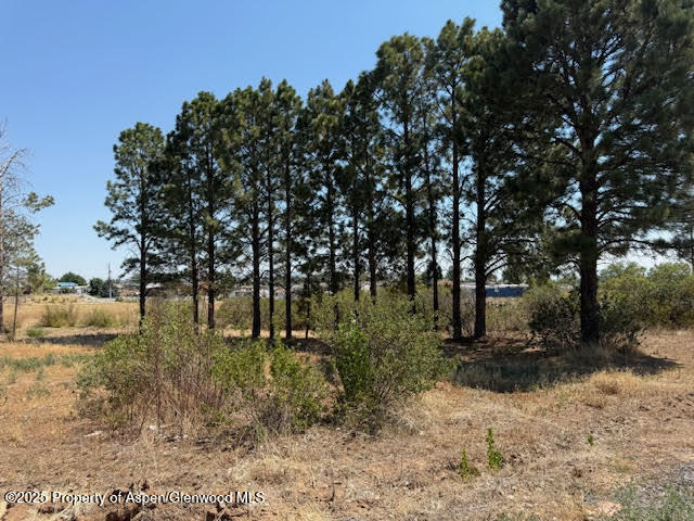 21045 Nowhere Road Eckert CO 81418