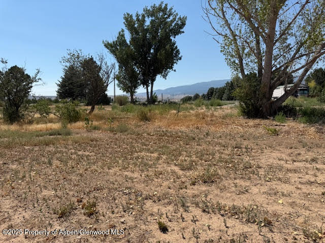 21045 Nowhere Road Eckert CO 81418