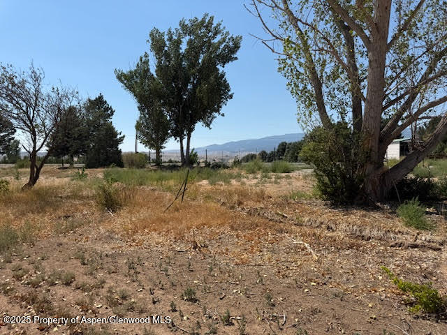 21045 Nowhere Road Eckert CO 81418