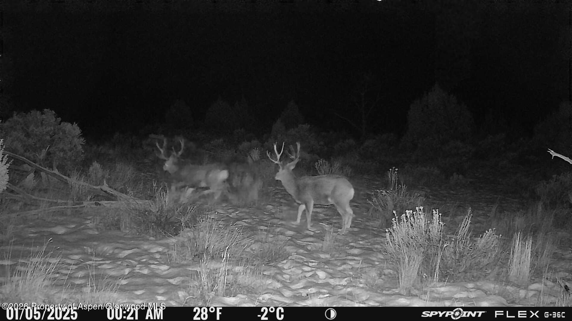 Tbd County Road 325 Rifle CO 81650