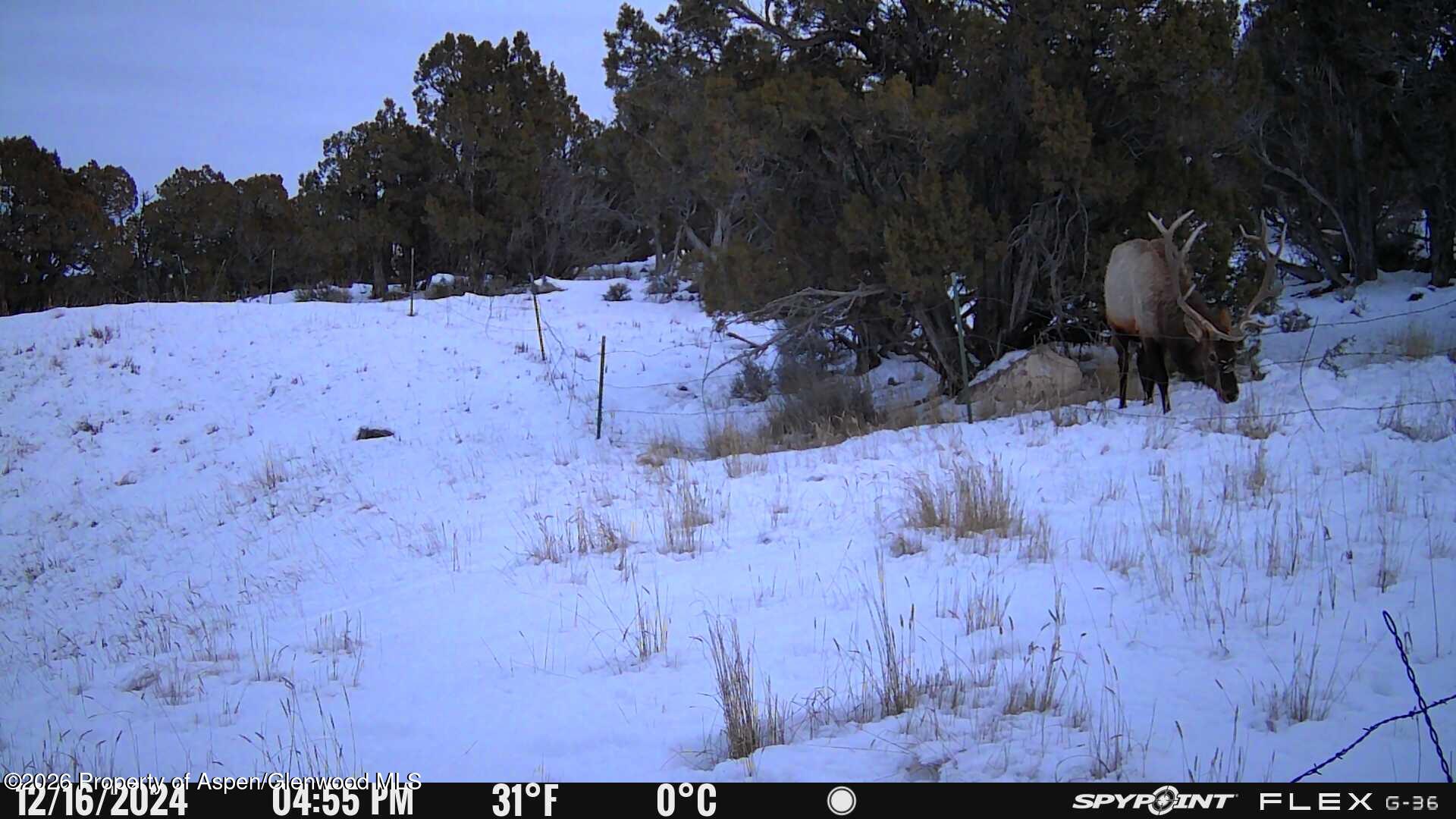 Tbd County Road 325 Rifle CO 81650