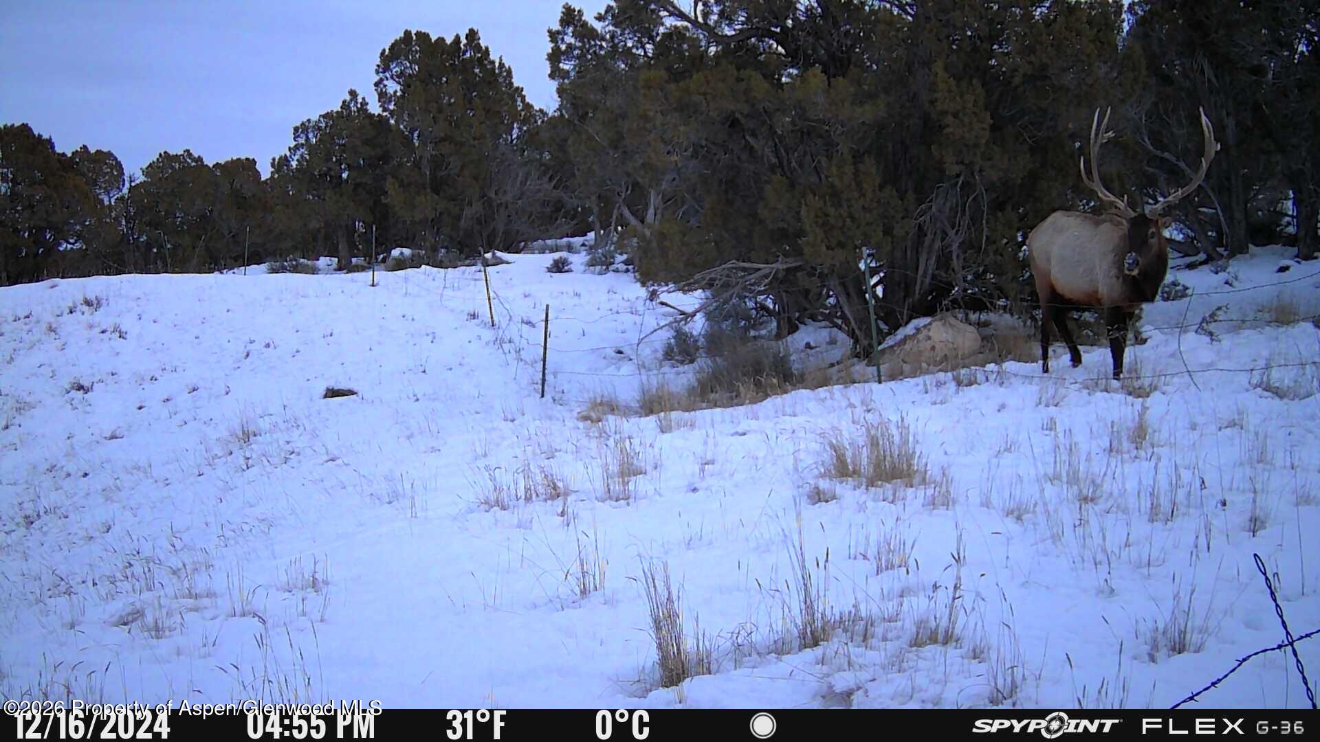 Tbd County Road 325 Rifle CO 81650