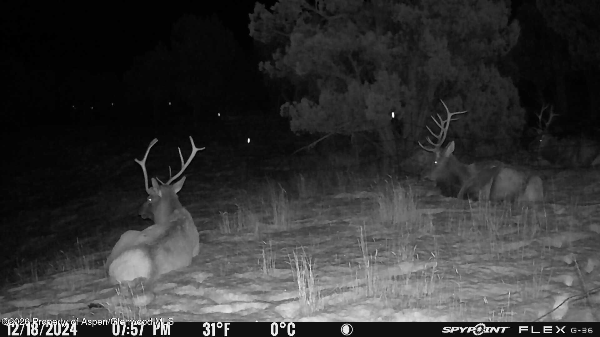 Tbd County Road 325 Rifle CO 81650