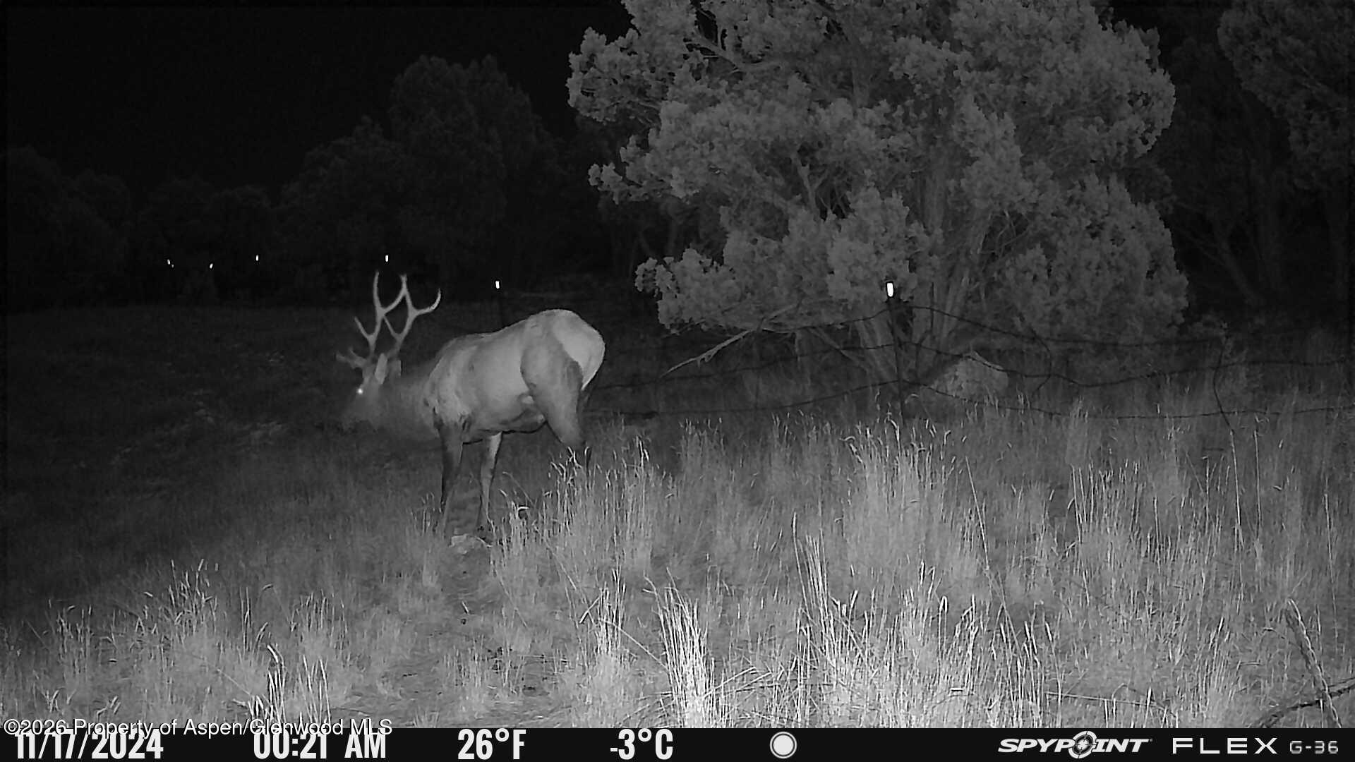 Tbd County Road 325 Rifle CO 81650