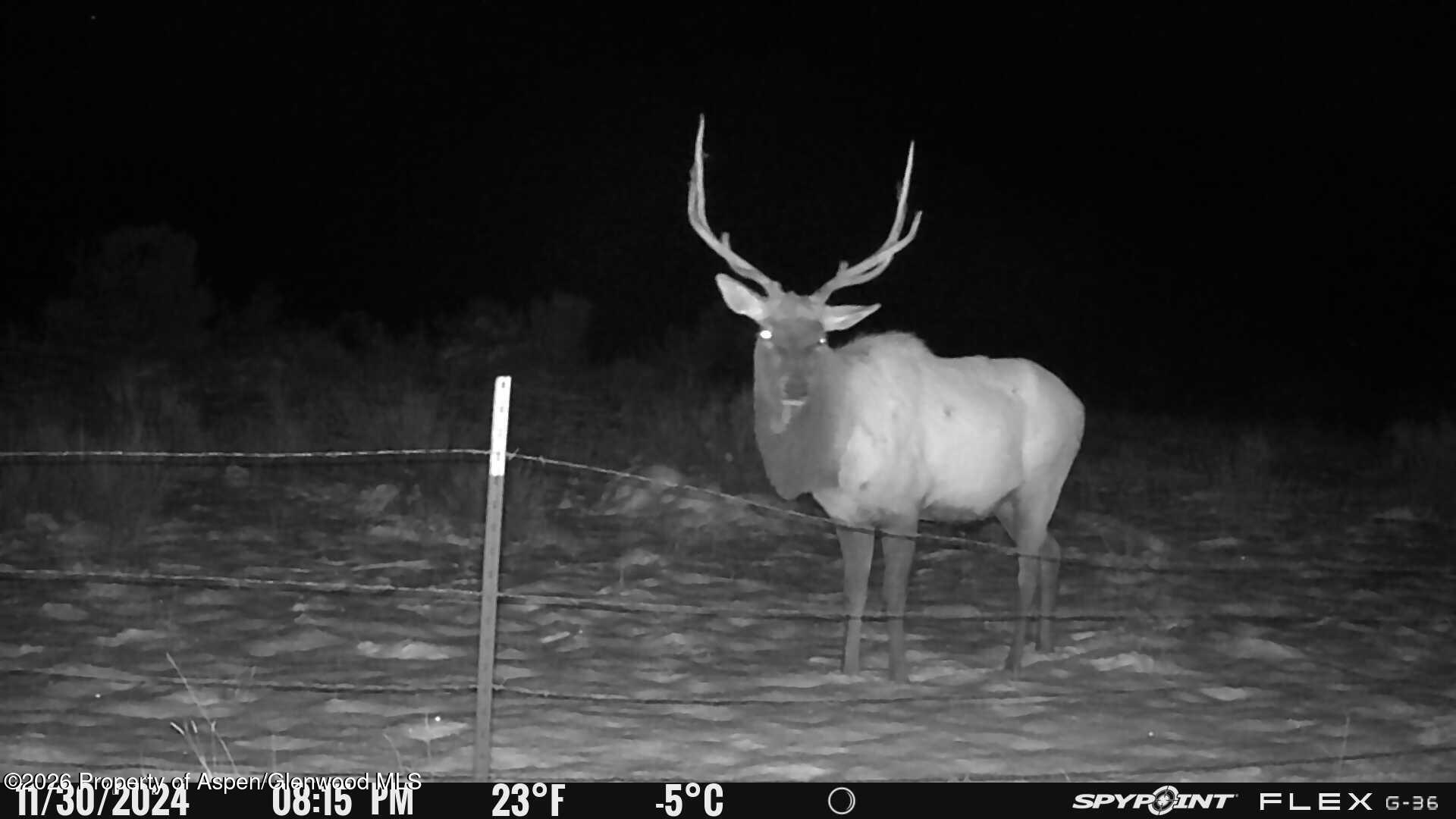 Tbd County Road 325 Rifle CO 81650