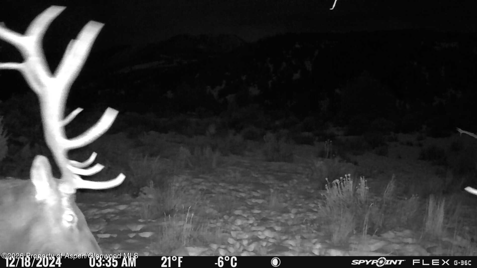 Tbd County Road 325 Rifle CO 81650