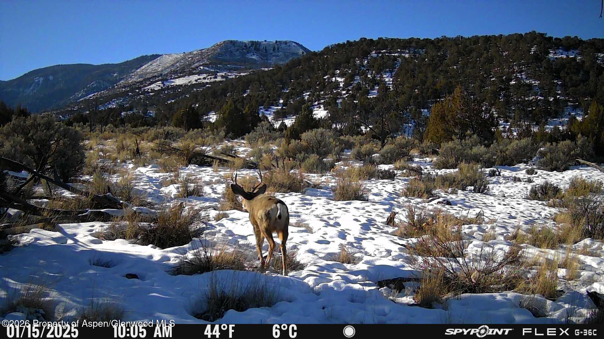 Tbd County Road 325 Rifle CO 81650