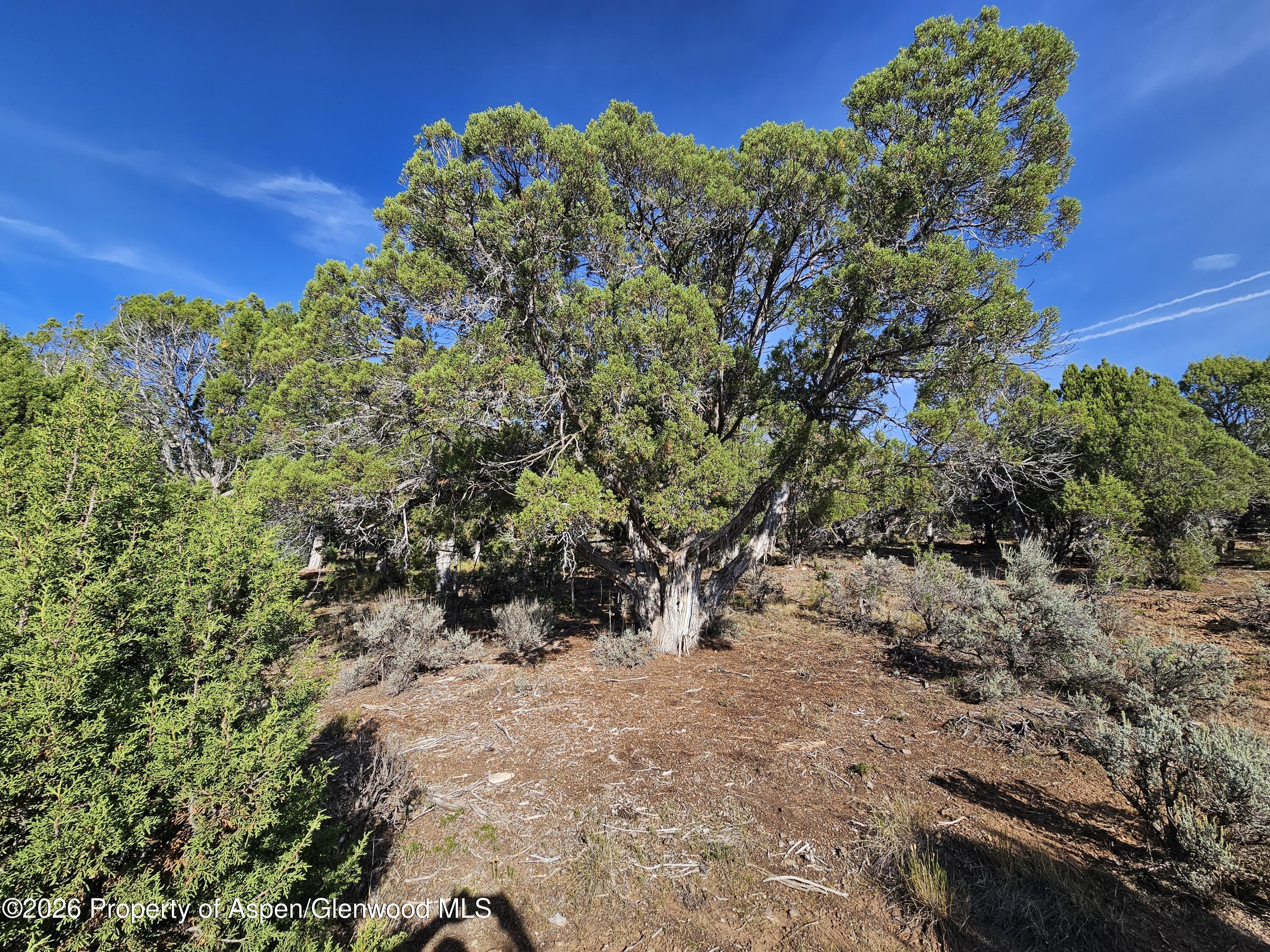 209 Crescent Lane Glenwood Springs CO 81601