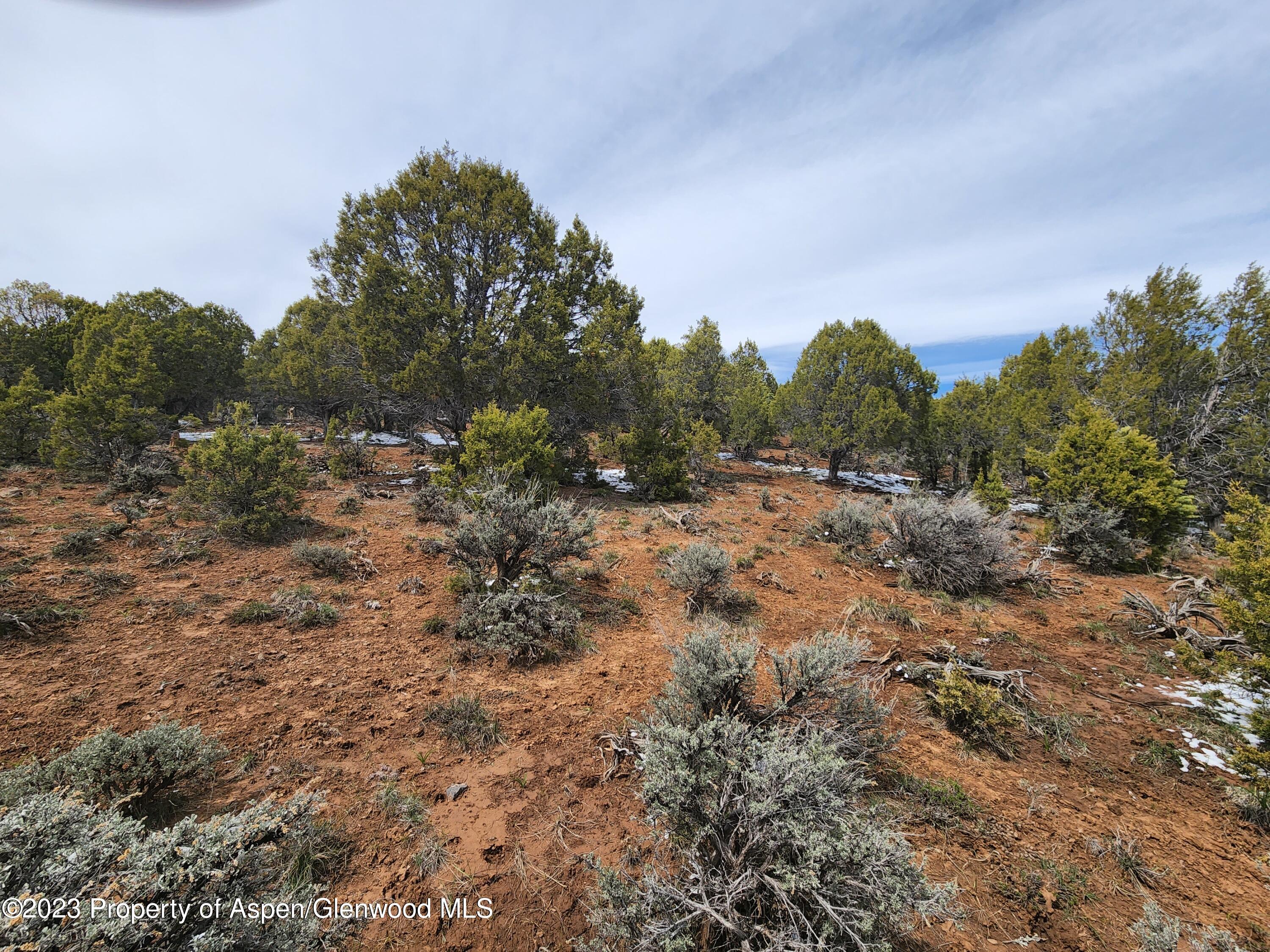 209 Crescent Lane Glenwood Springs CO 81601