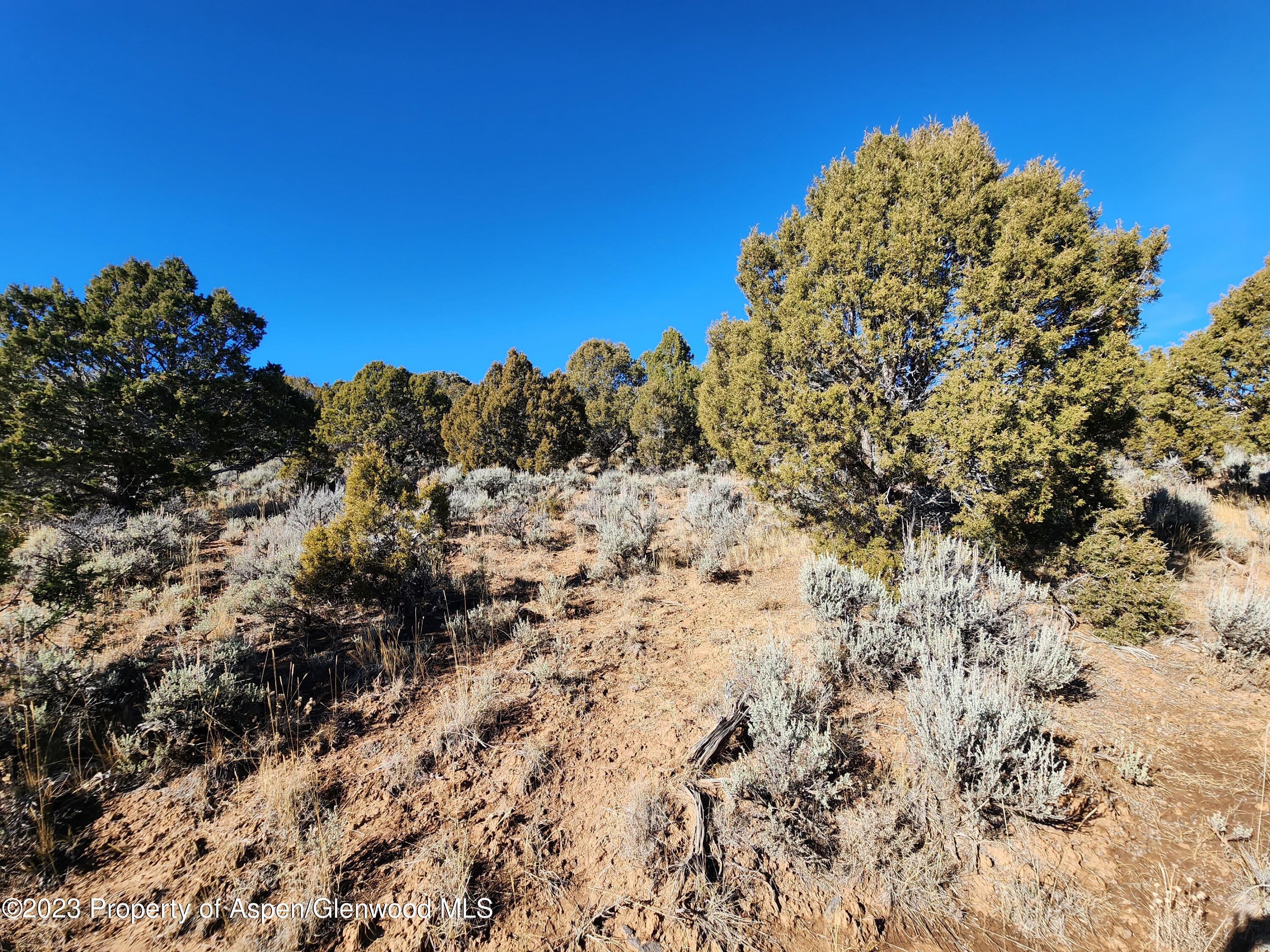 209 Crescent Lane Glenwood Springs CO 81601
