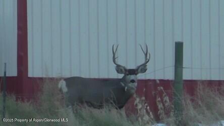 929 County Road 215 Parachute CO 81635