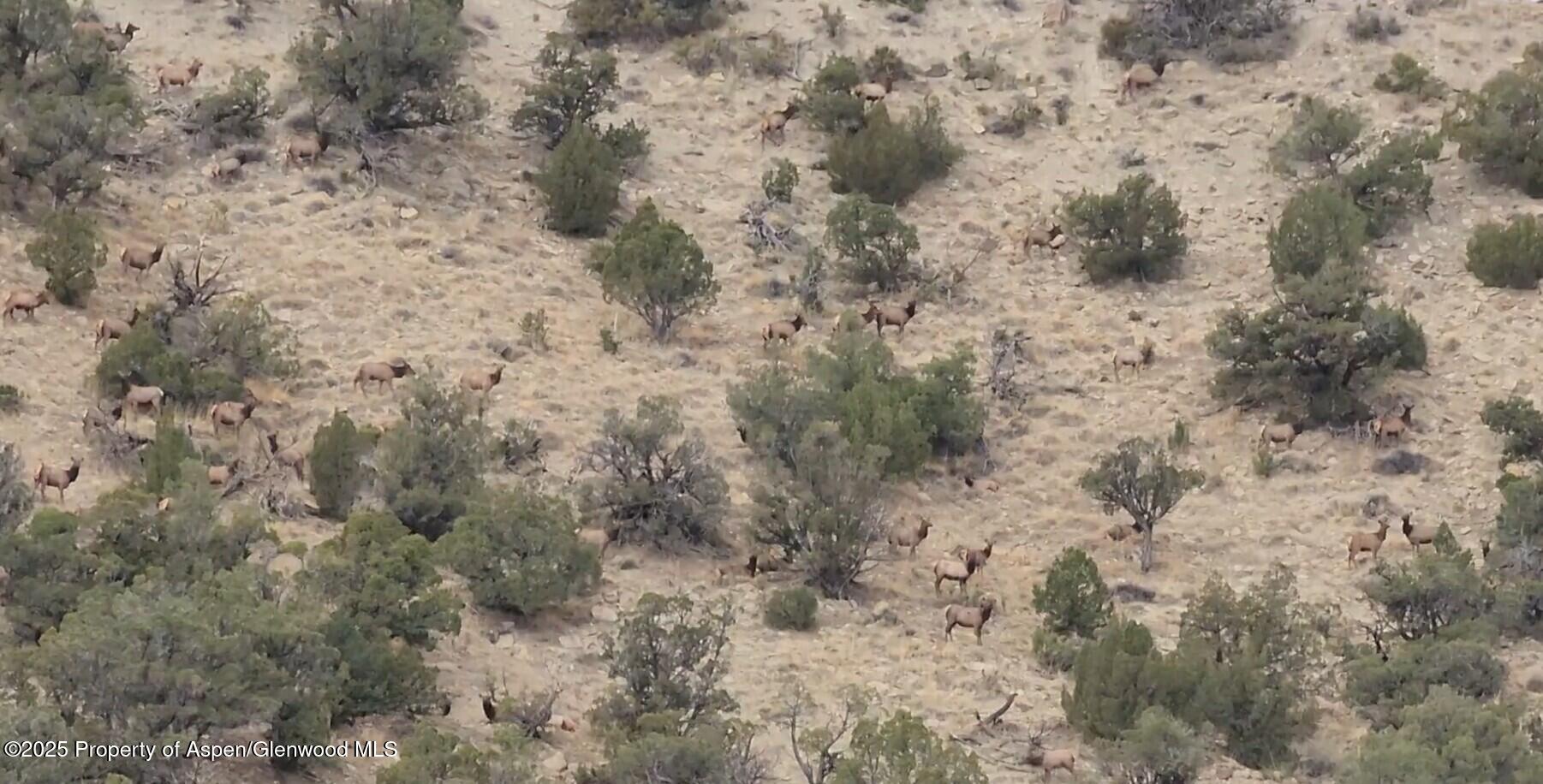 929 County Road 215 Parachute CO 81635