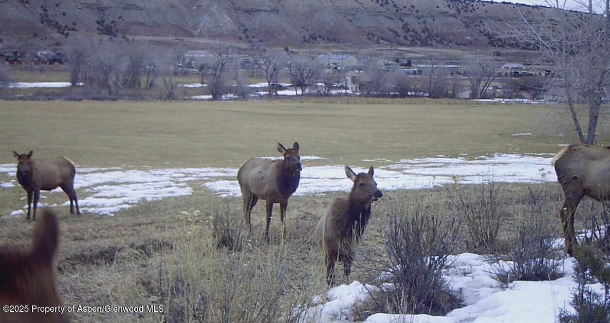 929 County Road 215 Parachute CO 81635