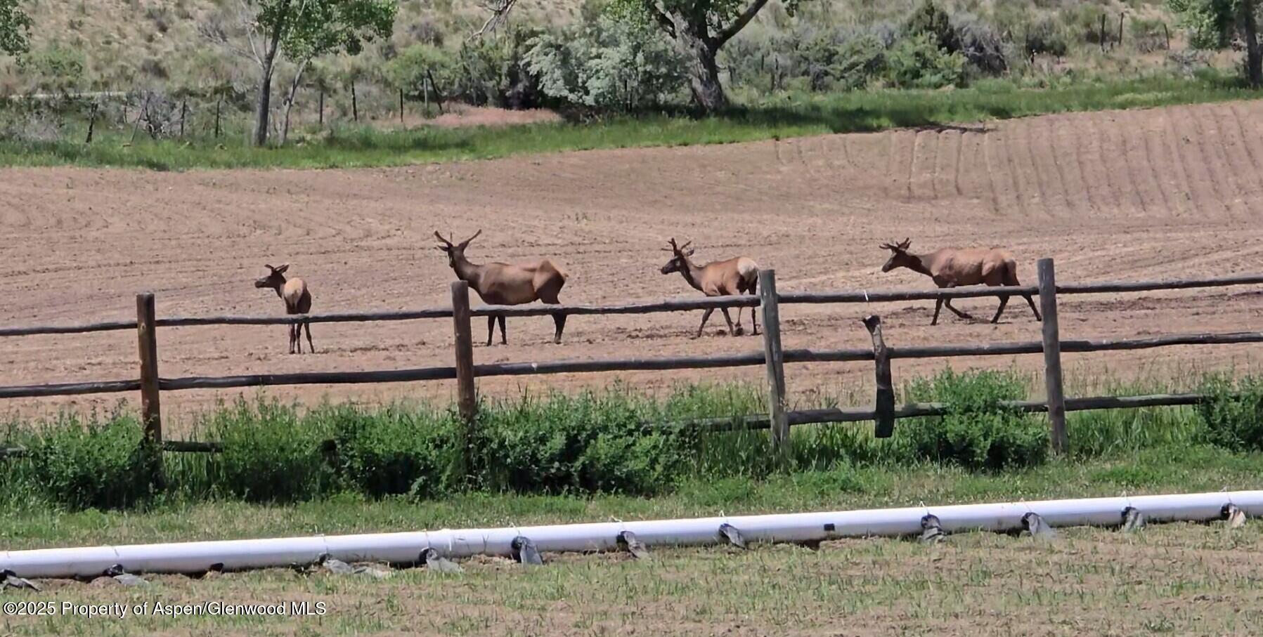 929 County Road 215 Parachute CO 81635