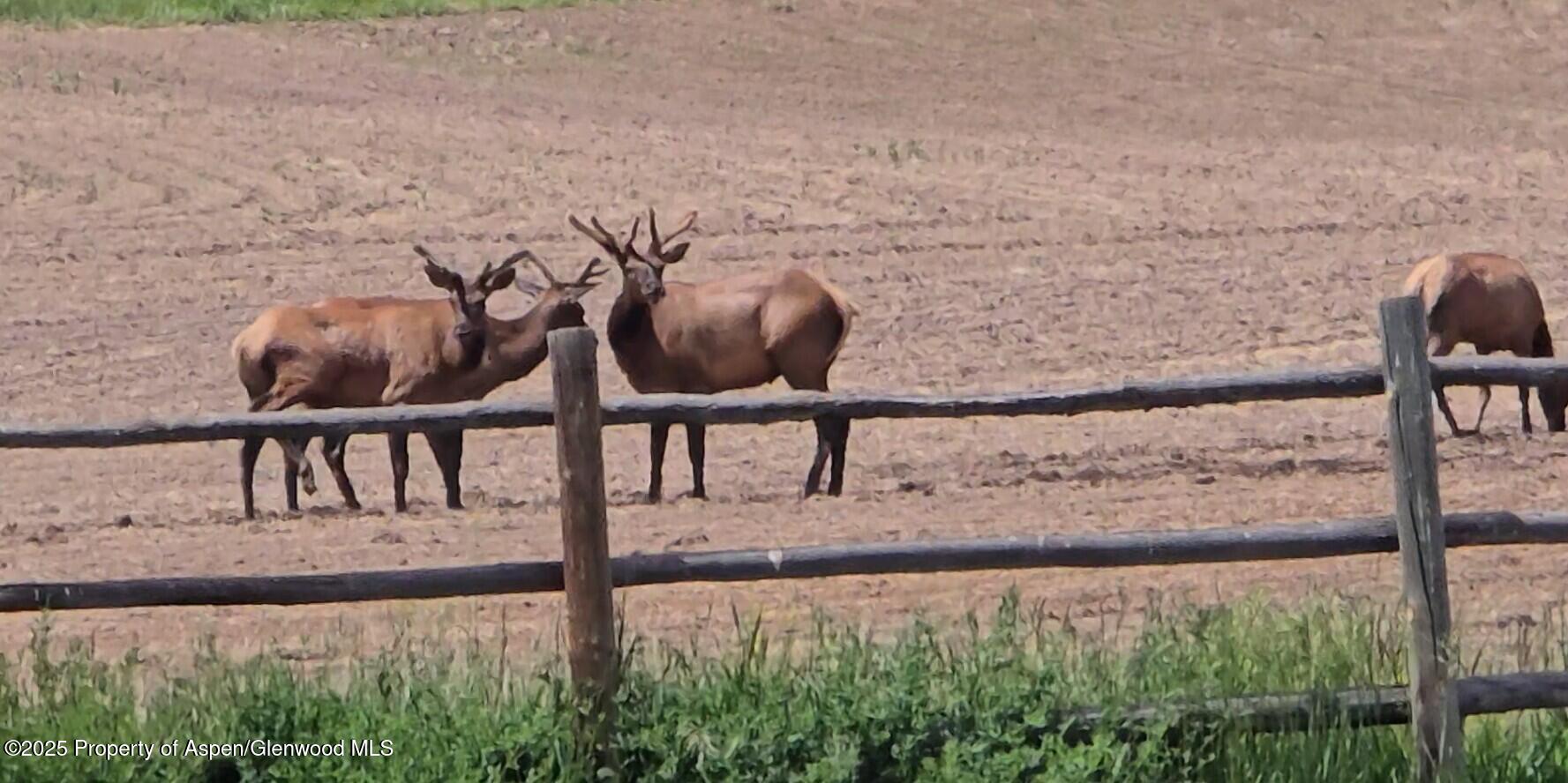 929 County Road 215 Parachute CO 81635