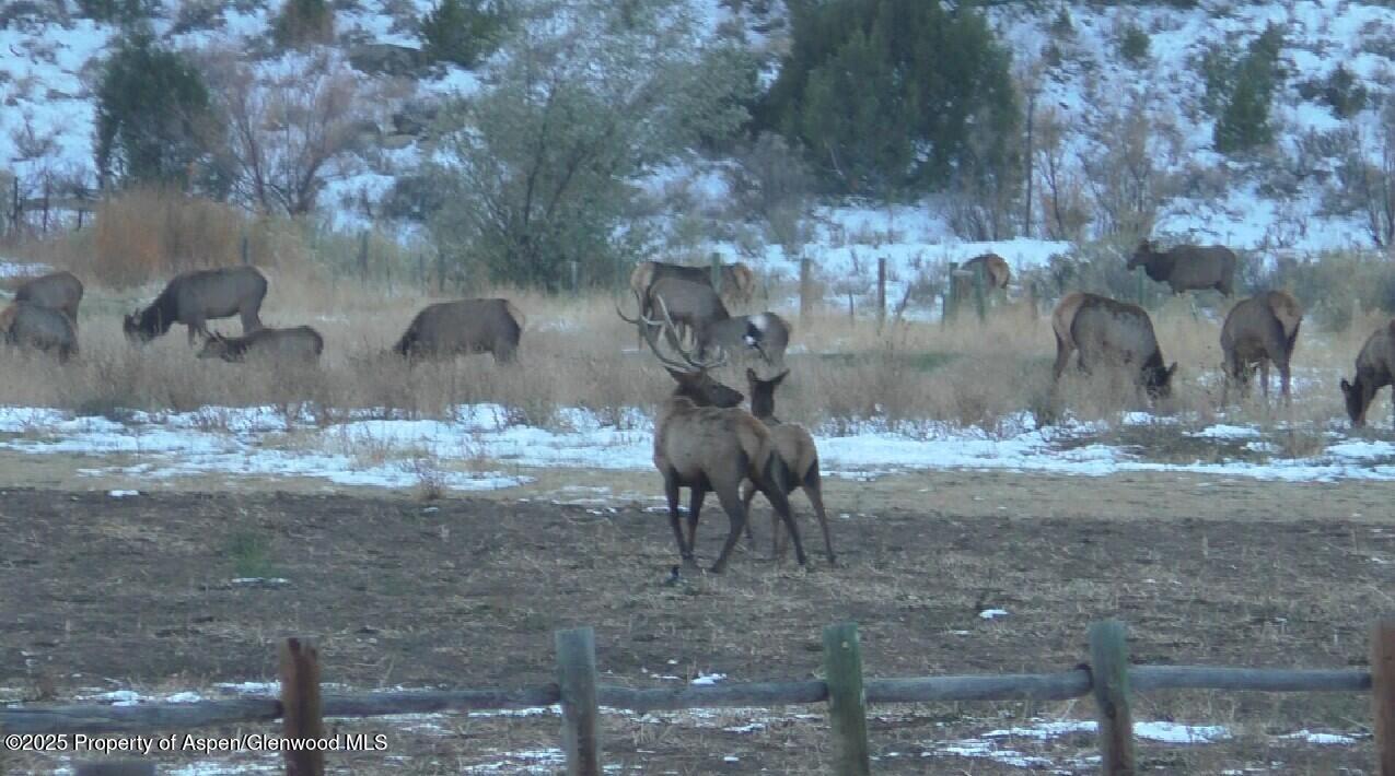 929 County Road 215 Parachute CO 81635