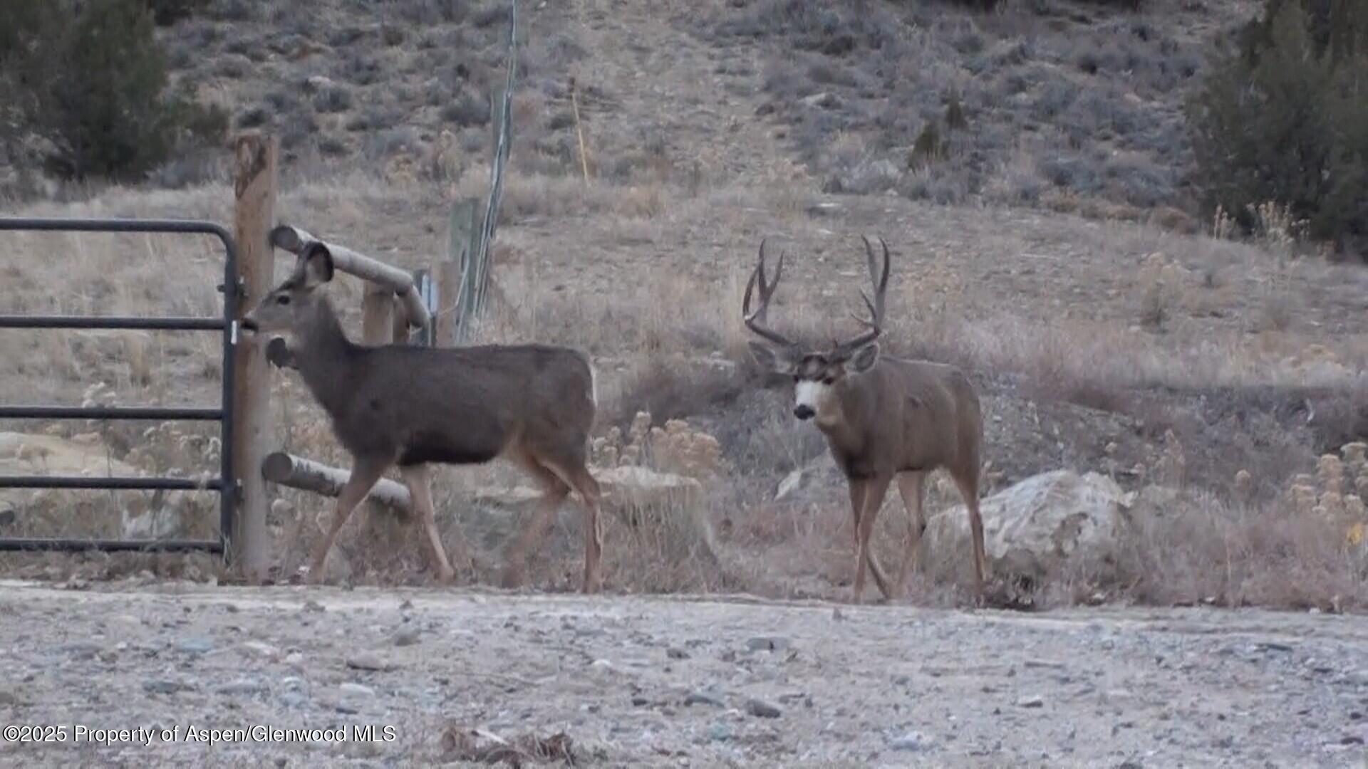 929 County Road 215 Parachute CO 81635