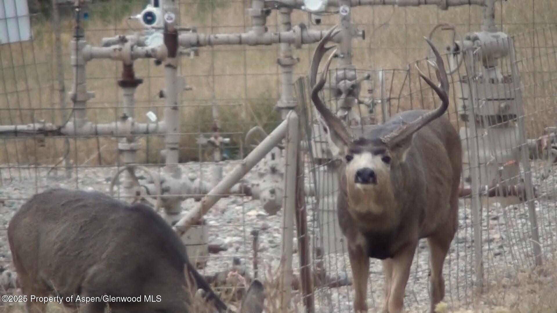 929 County Road 215 Parachute CO 81635