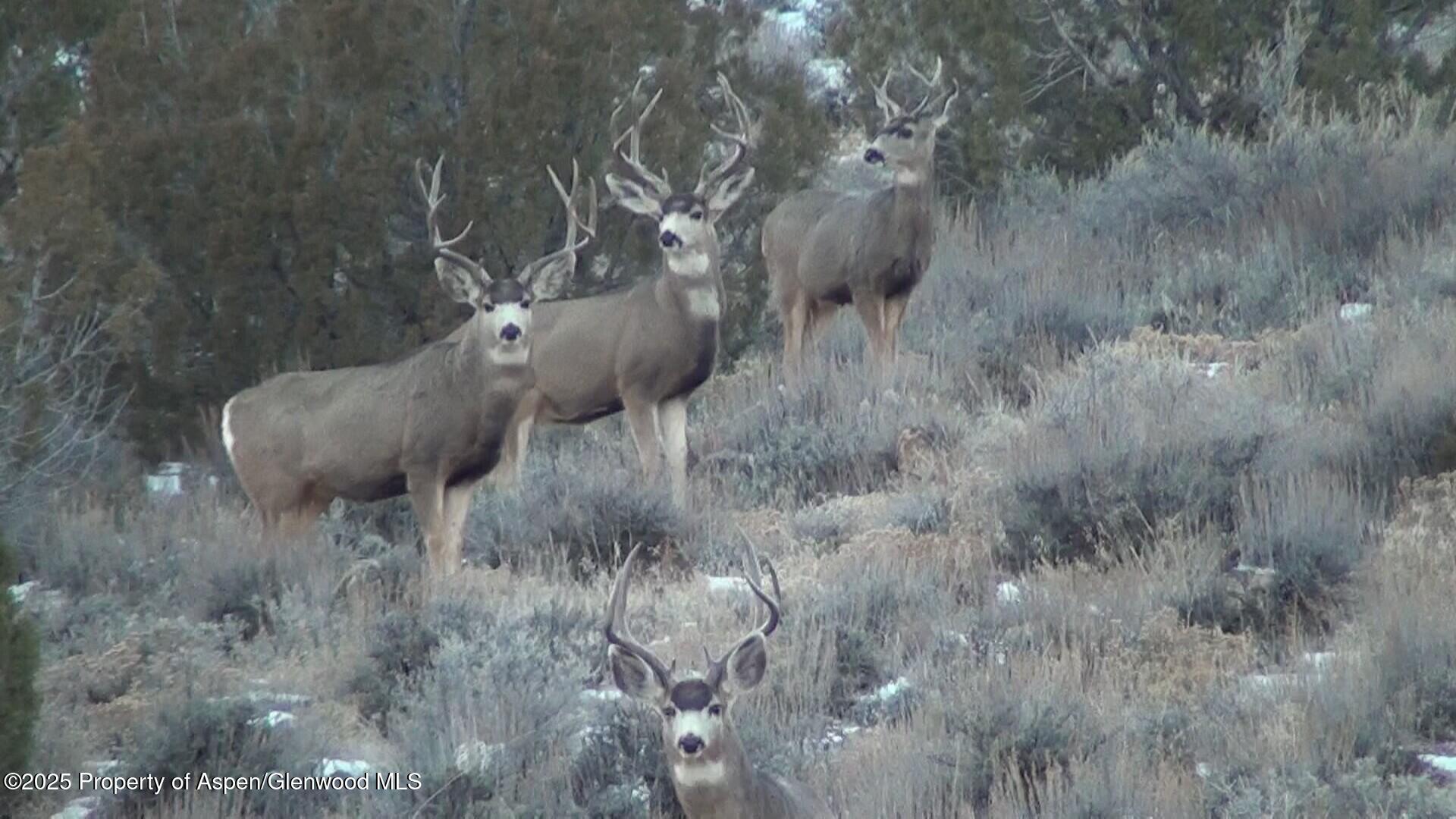 929 County Road 215 Parachute CO 81635