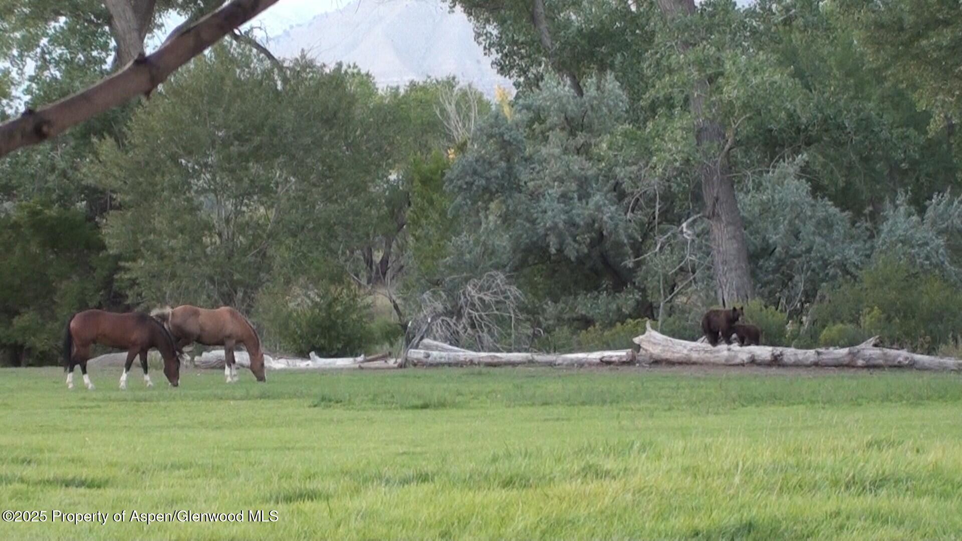 929 County Road 215 Parachute CO 81635