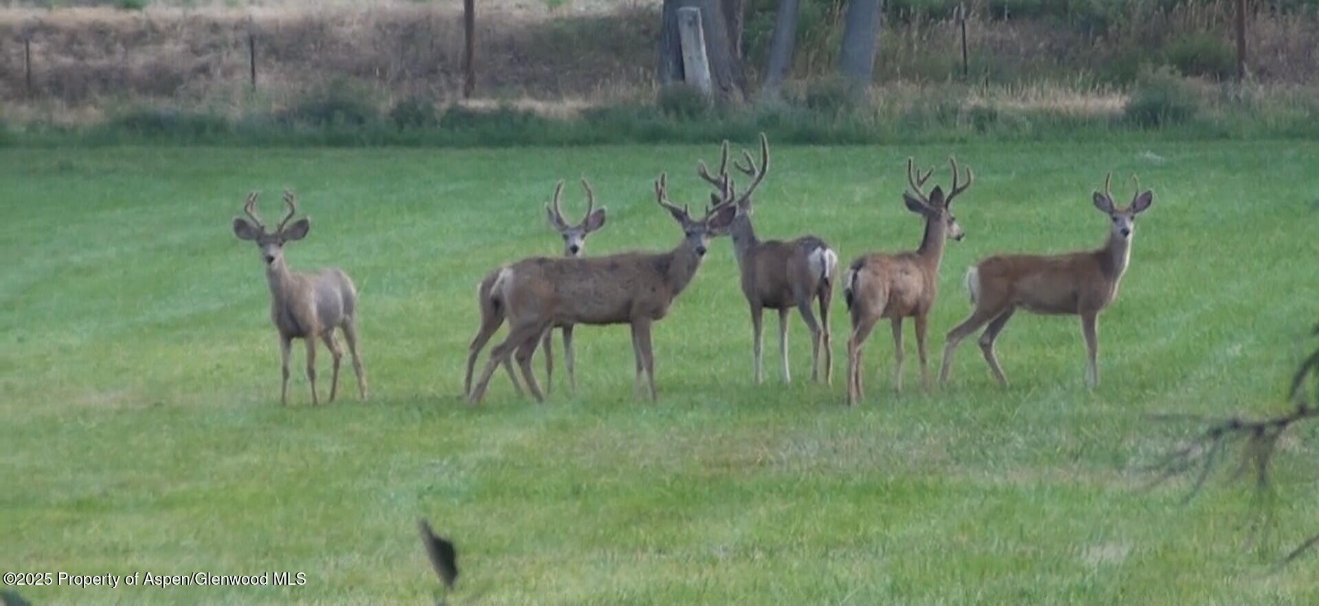 929 County Road 215 Parachute CO 81635