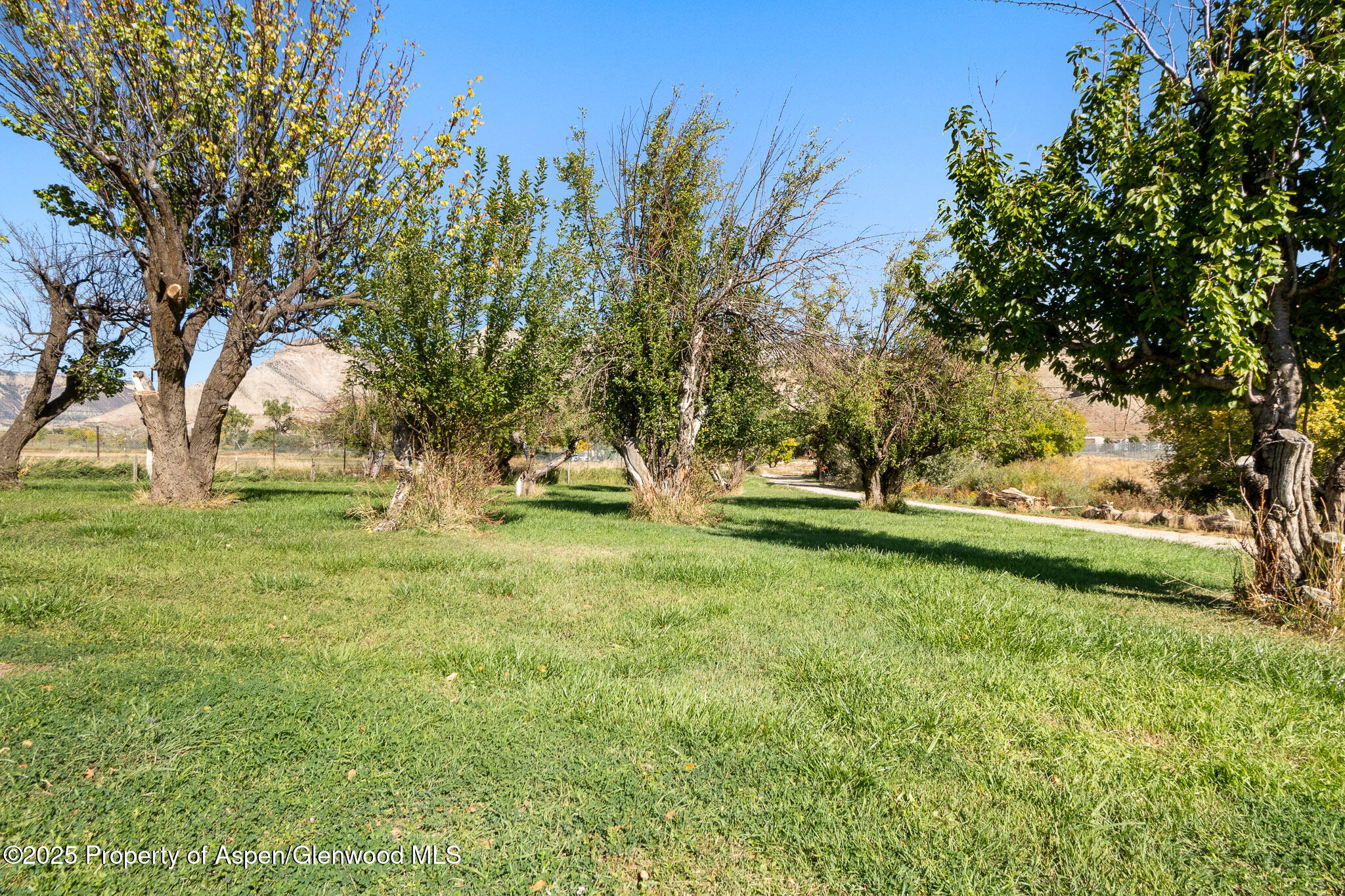 929 County Road 215 Parachute CO 81635