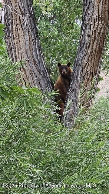 929 County Road 215 Parachute CO 81635