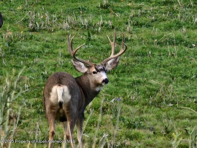 929 County Road 215 Parachute CO 81635