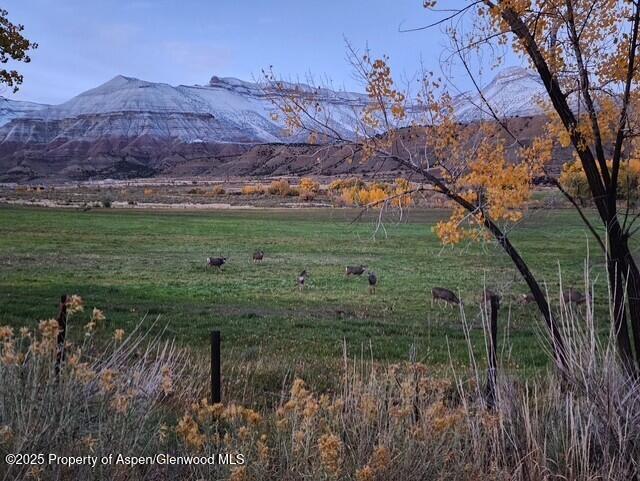 929 County Road 215 Parachute CO 81635