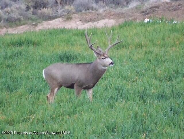 929 County Road 215 Parachute CO 81635