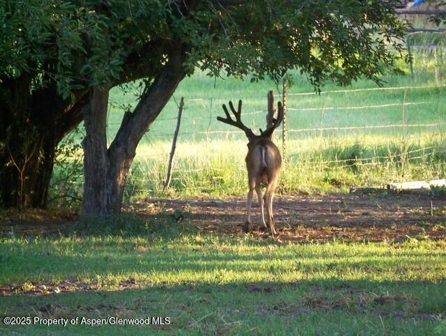 929 County Road 215 Parachute CO 81635